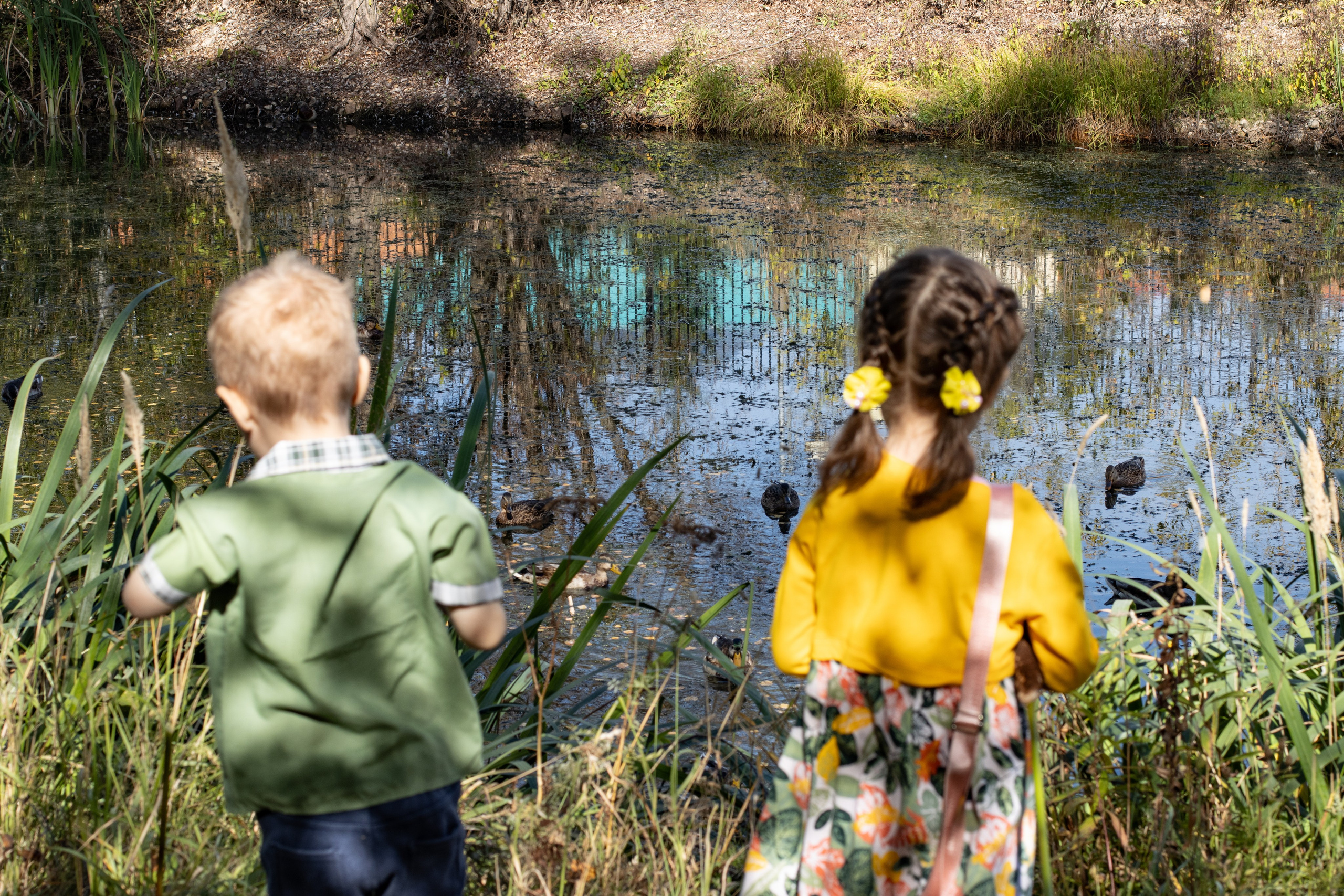 Саша и Маша лесная прогулка. Главная