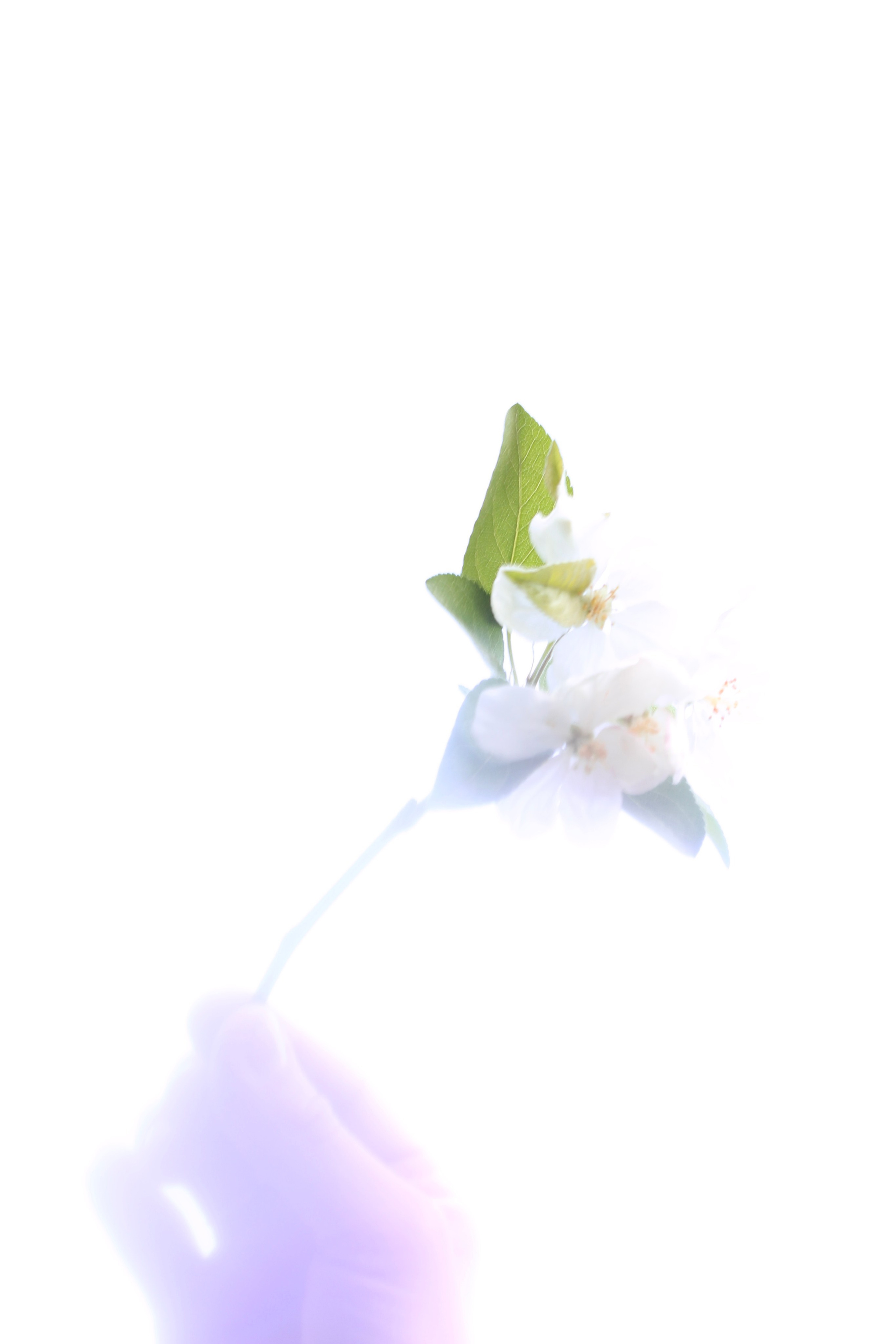 My beautiful days / Moscow 2024. POLINA MÔMOT