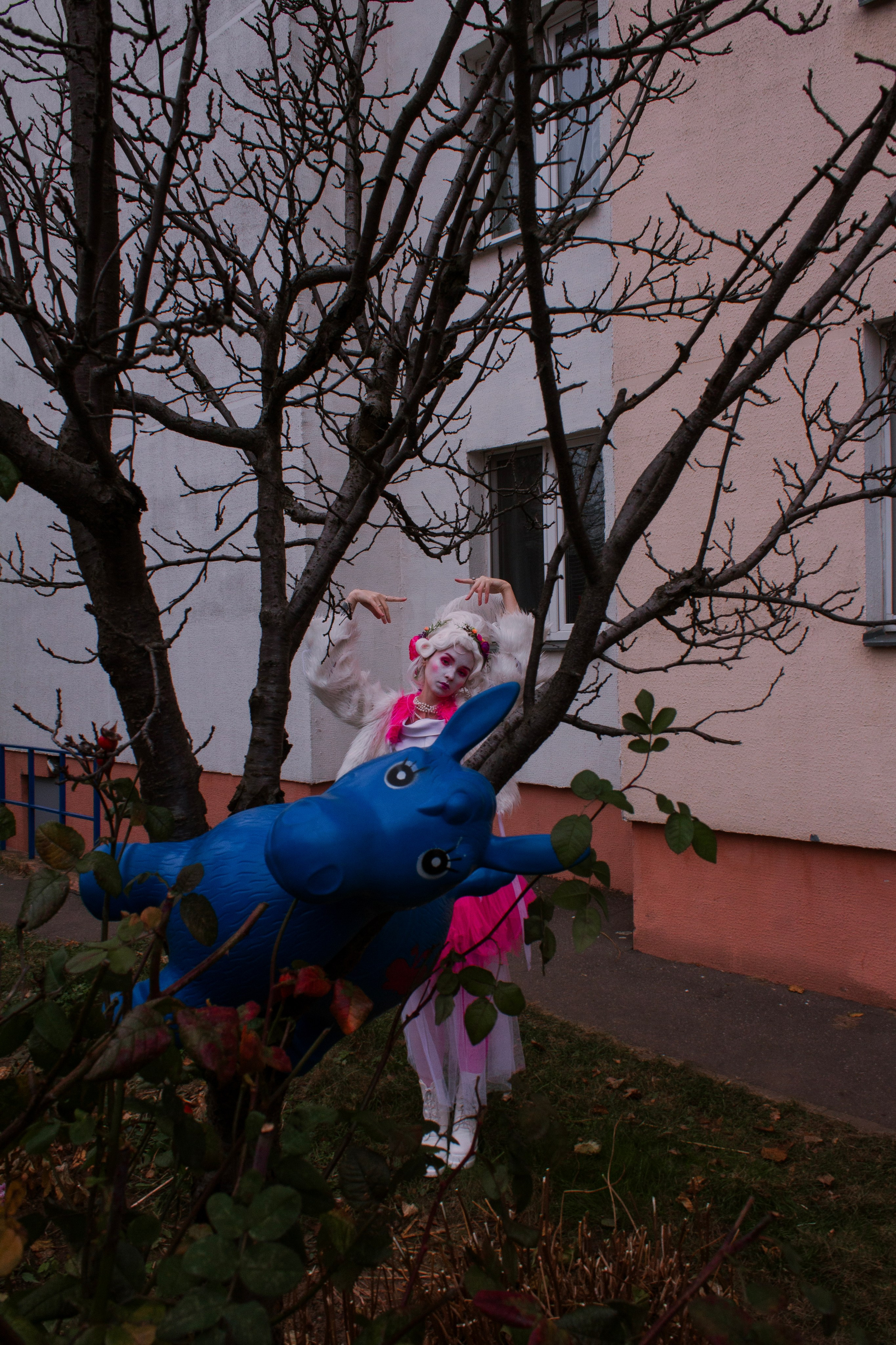 Дама, а вы к нам откуда?