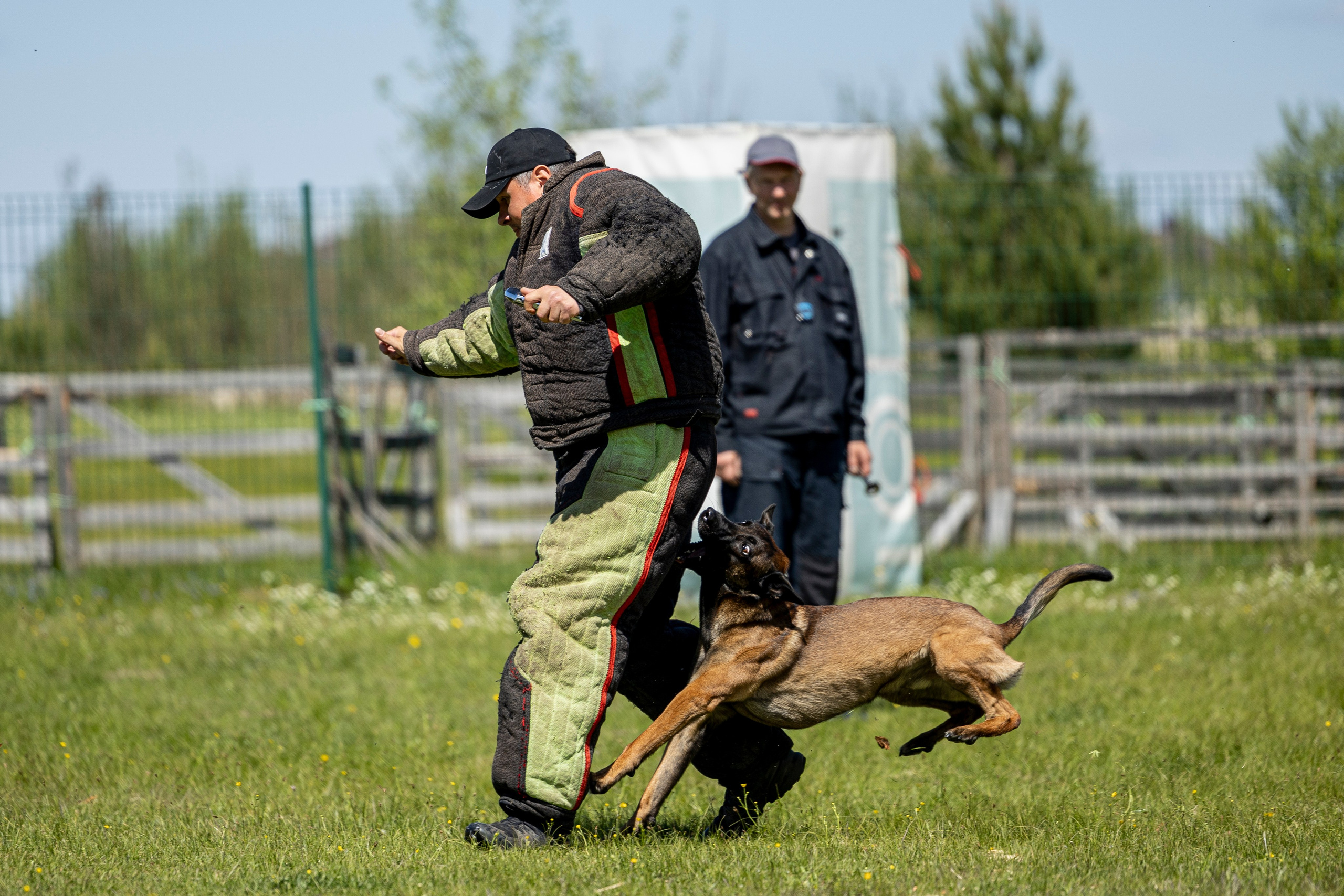 Испытания по мондьорингу в Нижнем Новгороде. Фотограф-анималист Анна Маринич