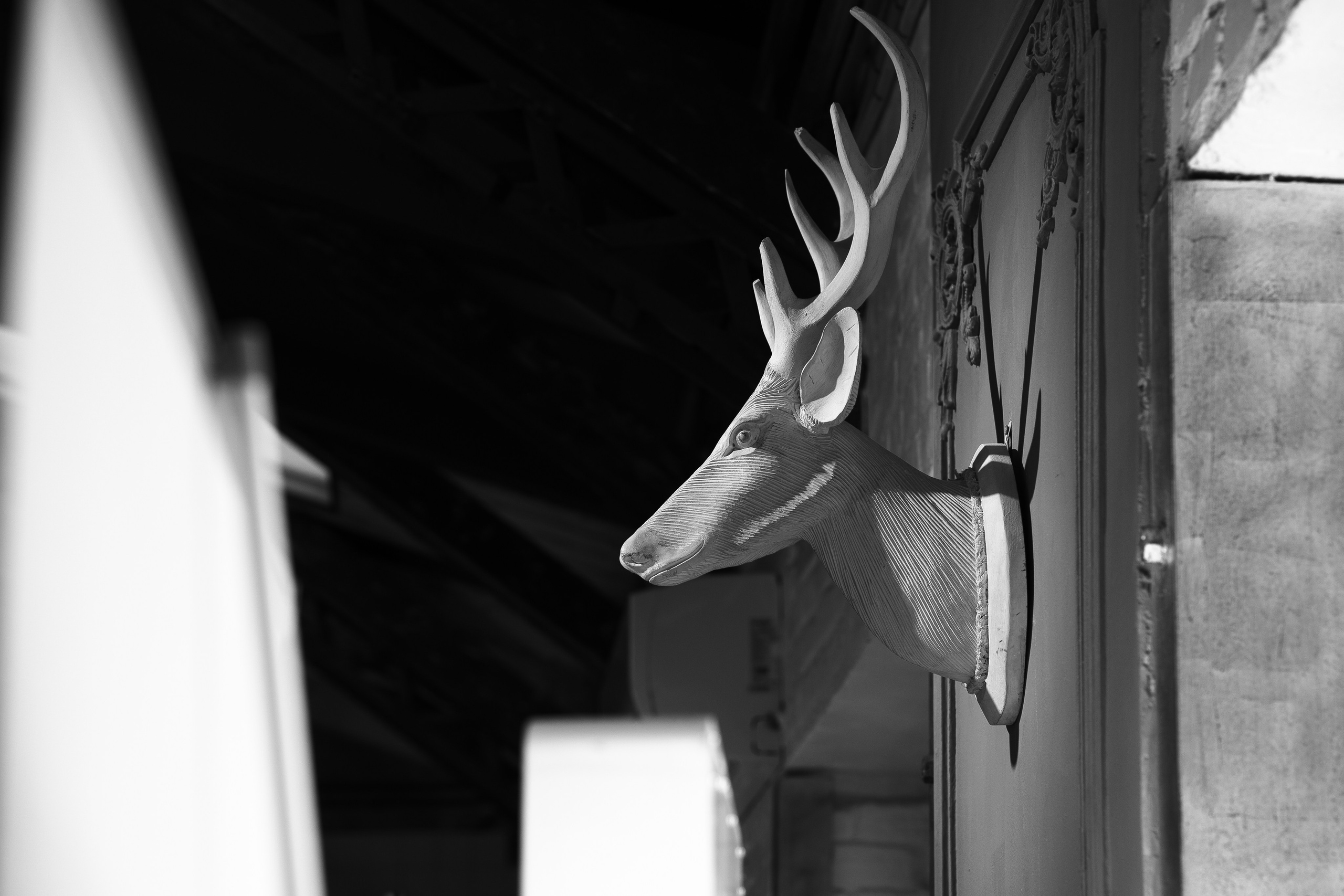 Синергиум. Фотограф Москва