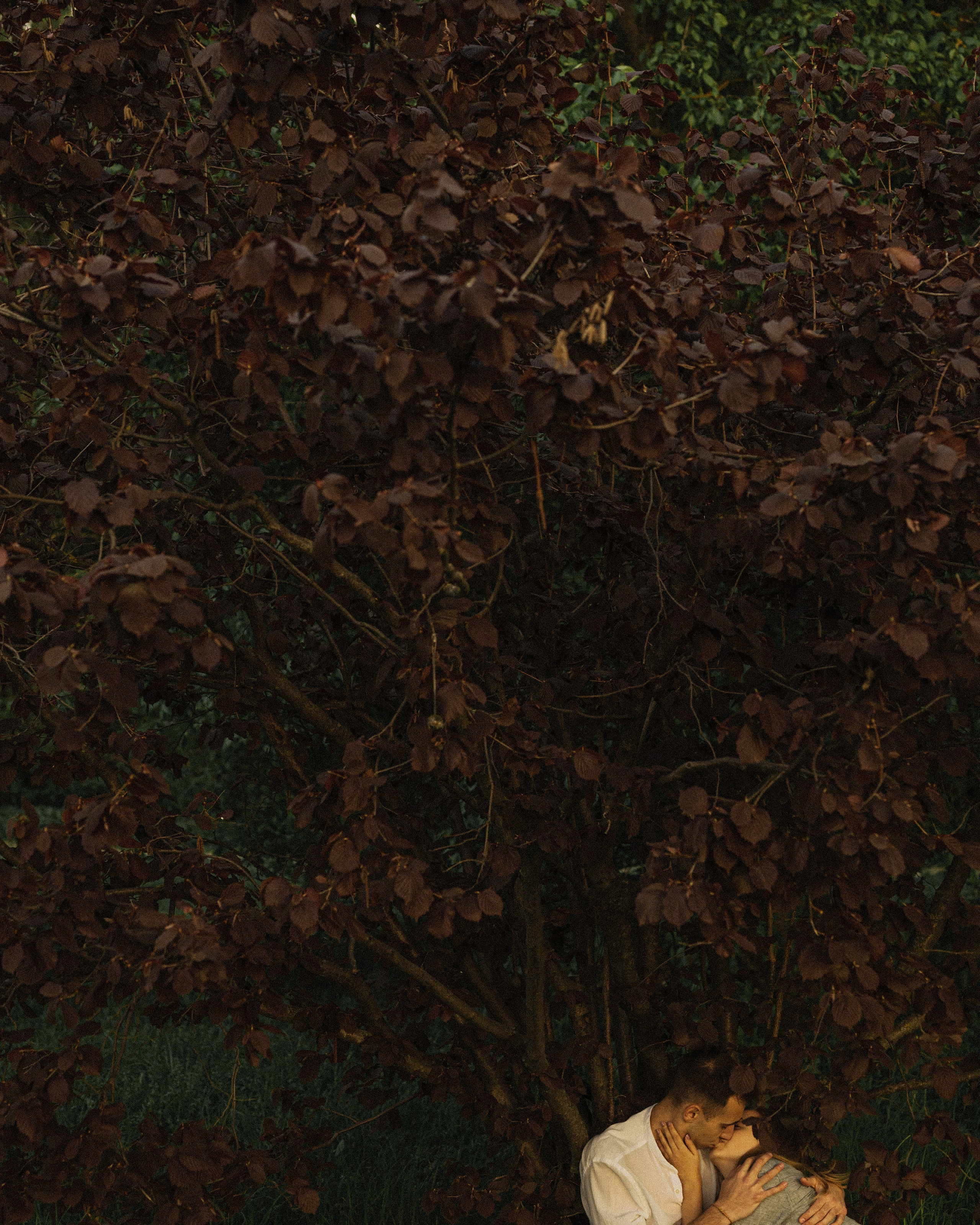 Даша и Миша