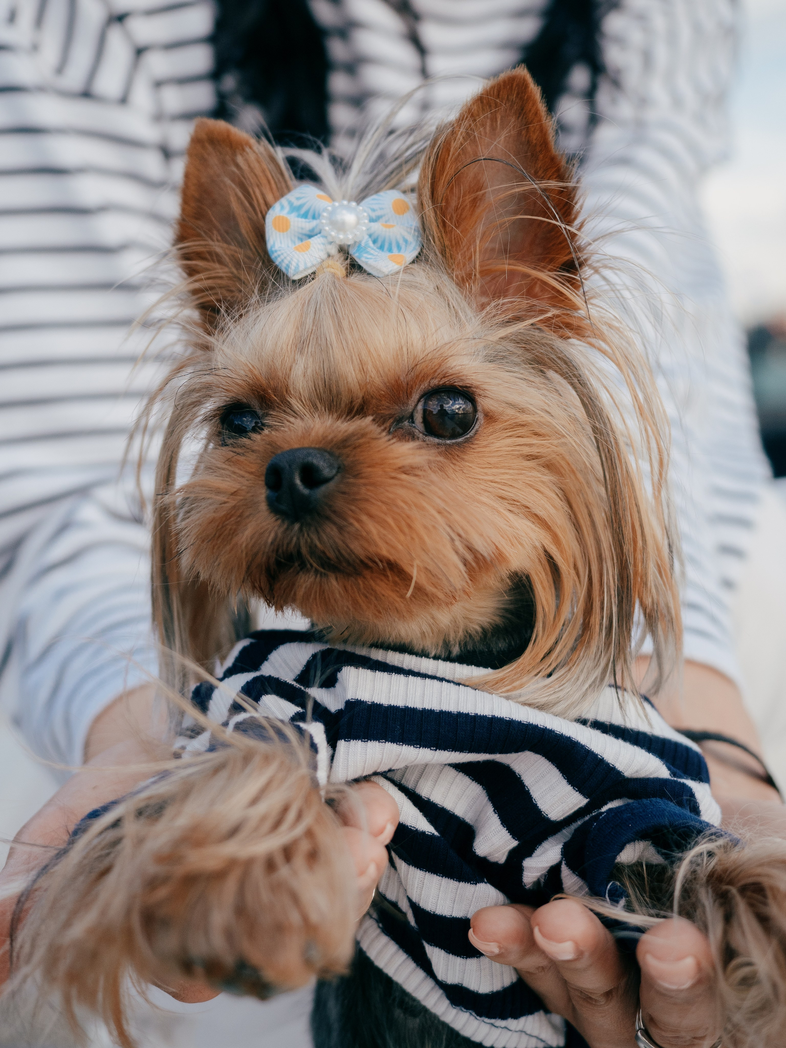 Фотопрогулка с питомцем. Маруся Машкова • Фотограф в Москве