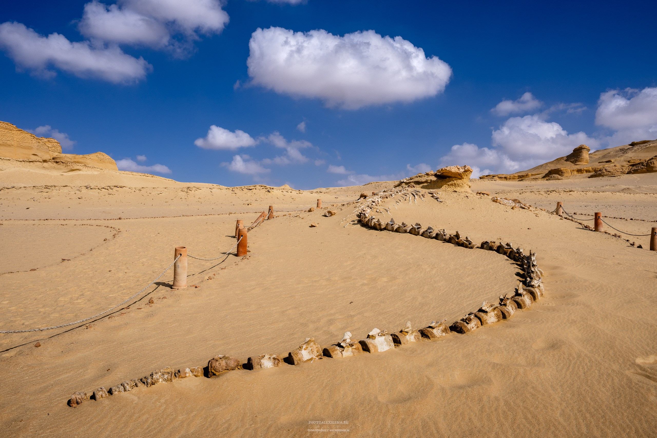 Снова в пустыню, за скелетами…. Авторские стильные фотокартины
