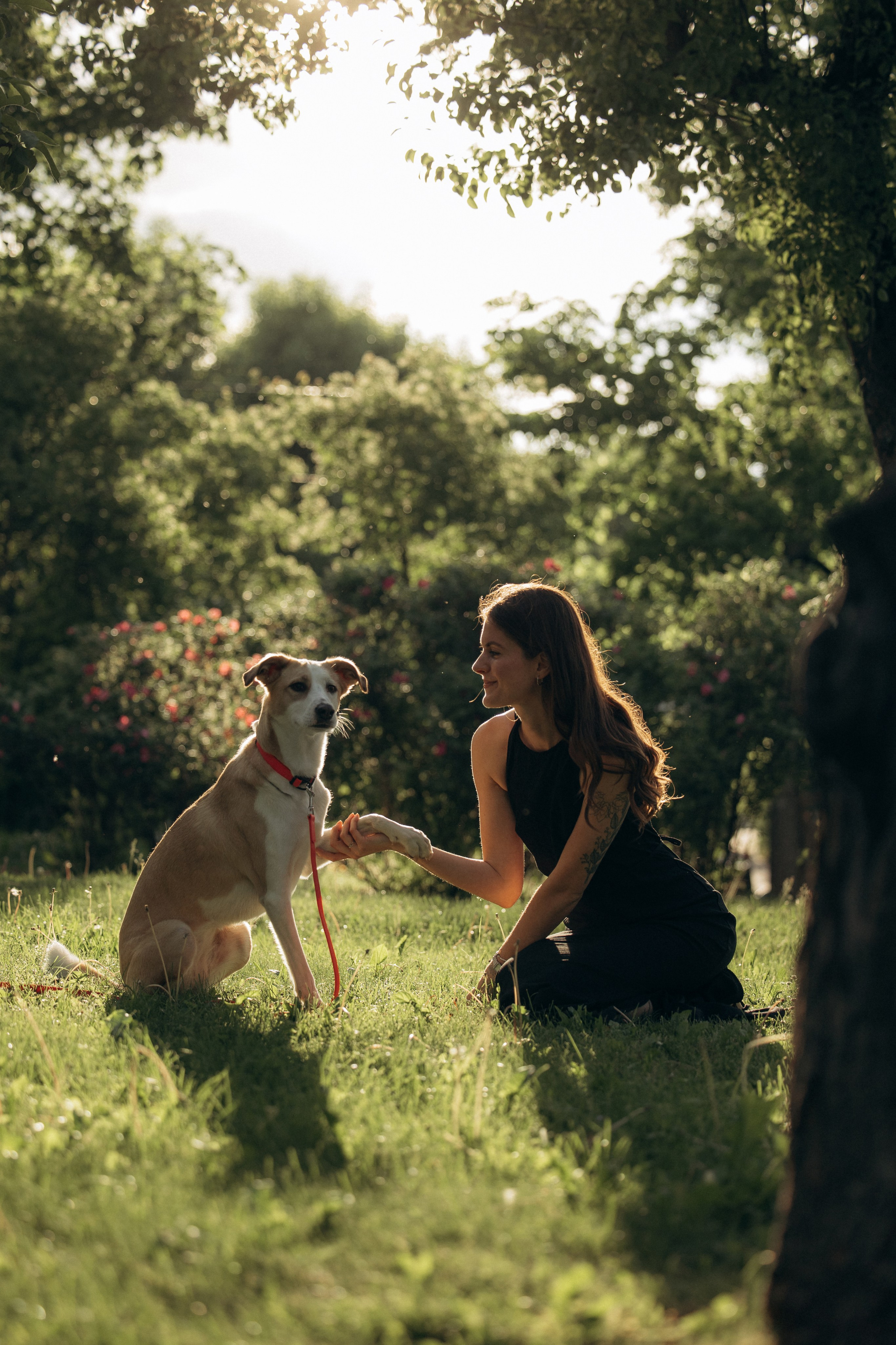 Парк Коломенское. Михаил, Анастасия и Ума. Фотограф анималист в Казани Алина Сулейманова. Фотограф животных