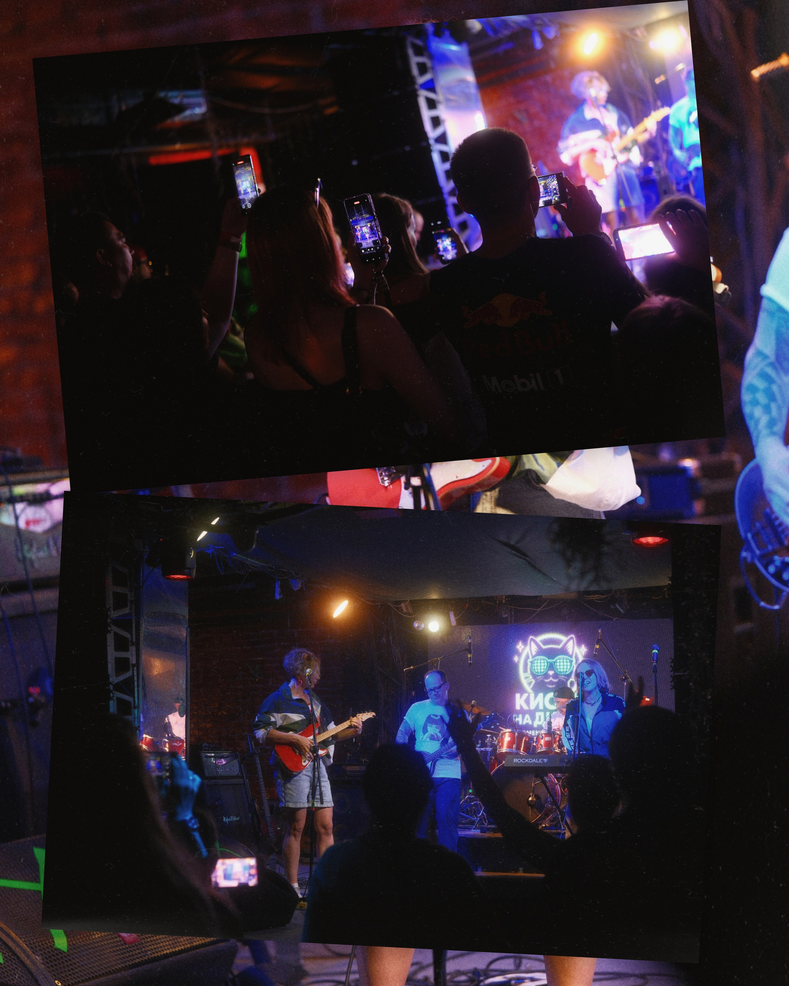 Концерты. Pasha.fotolive <3