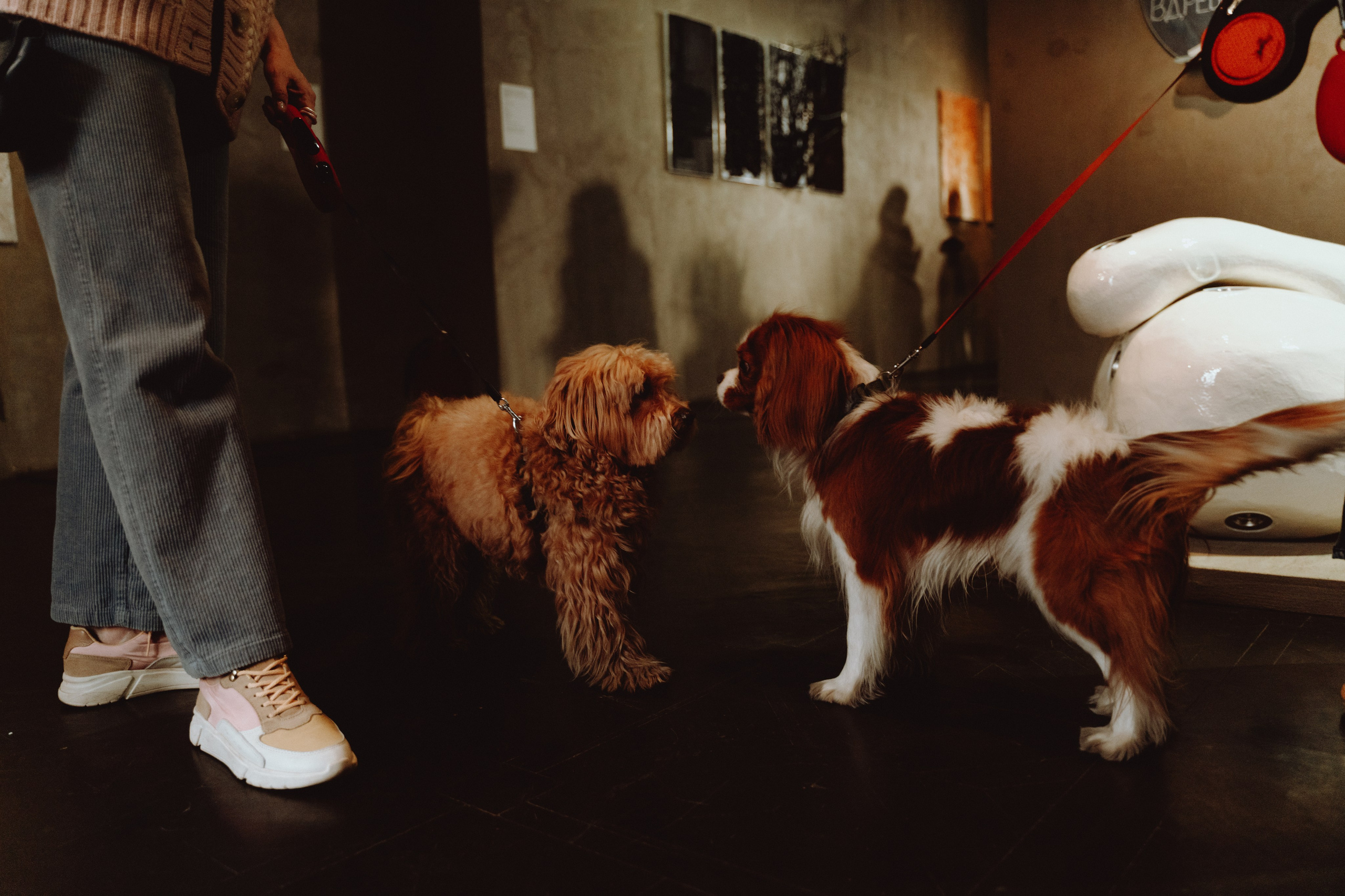 Художественные выставки. Портретный фотограф в Москве Эмиль Халиков