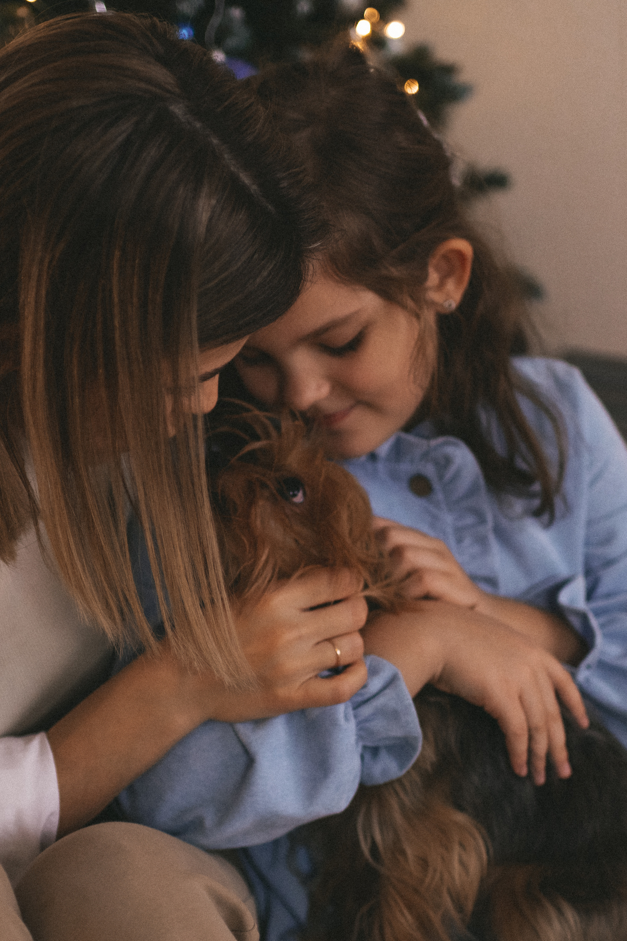Новогоднее настроение. Женский и семейный фотограф в Москве Ирина Лысикова