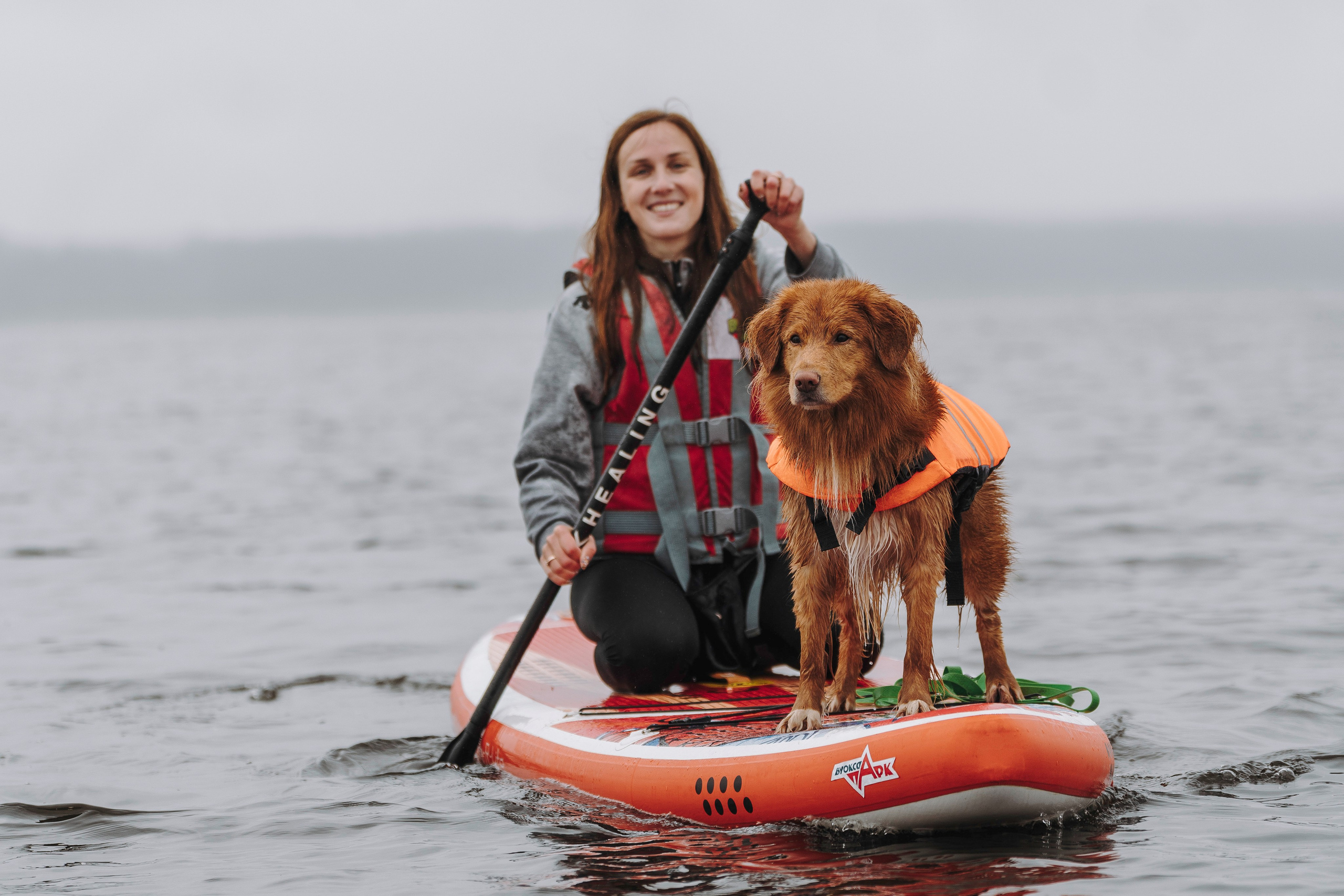 Катание на сапах с собаками. Фотограф анималист в Спб недорого Олеся Майорова