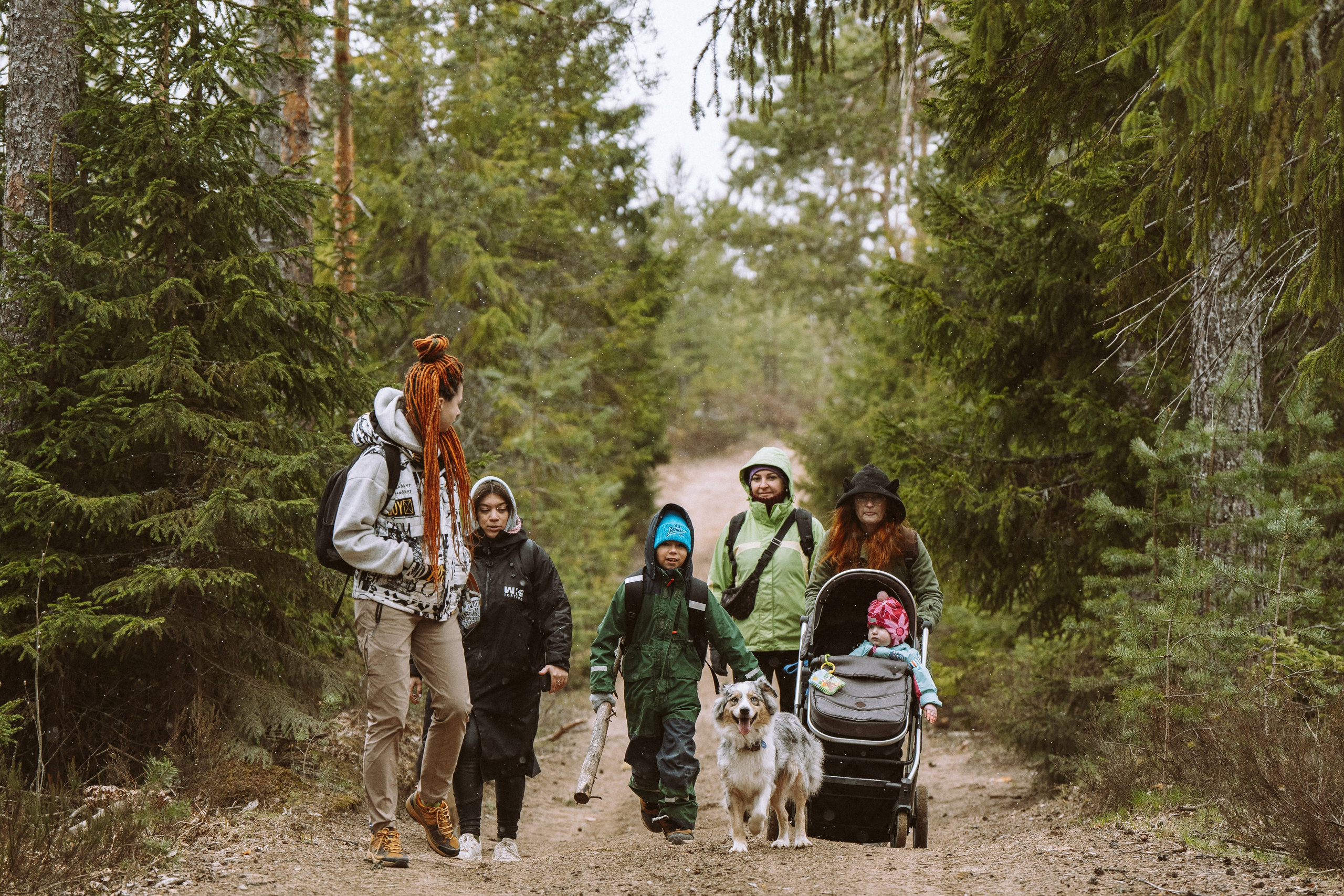 Дог трекинг к финскому хутору. Фотограф анималист в Спб недорого Олеся Майорова