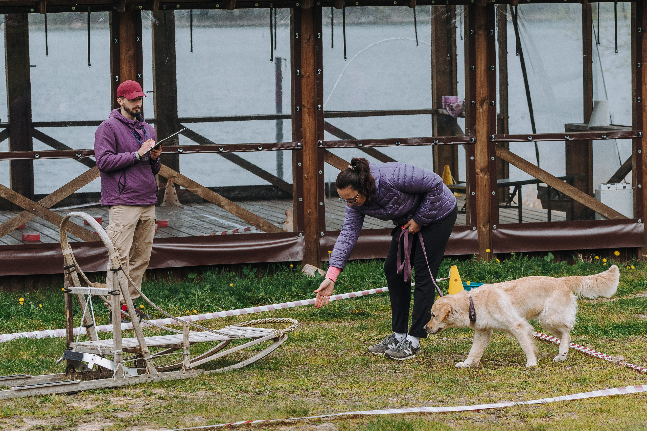 Соревнования по ноузворку в Лосево. Фотограф анималист в Спб недорого Олеся Майорова