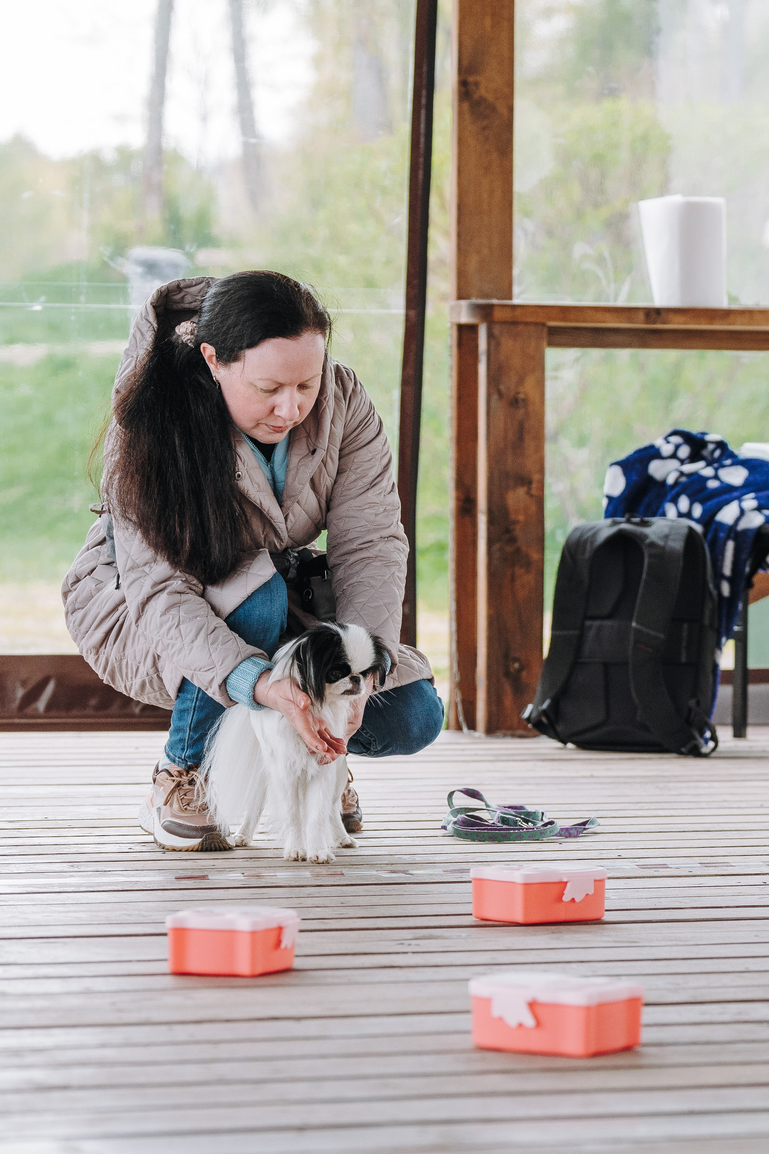 Соревнования по ноузворку в Лосево. Фотограф анималист в Спб недорого Олеся Майорова