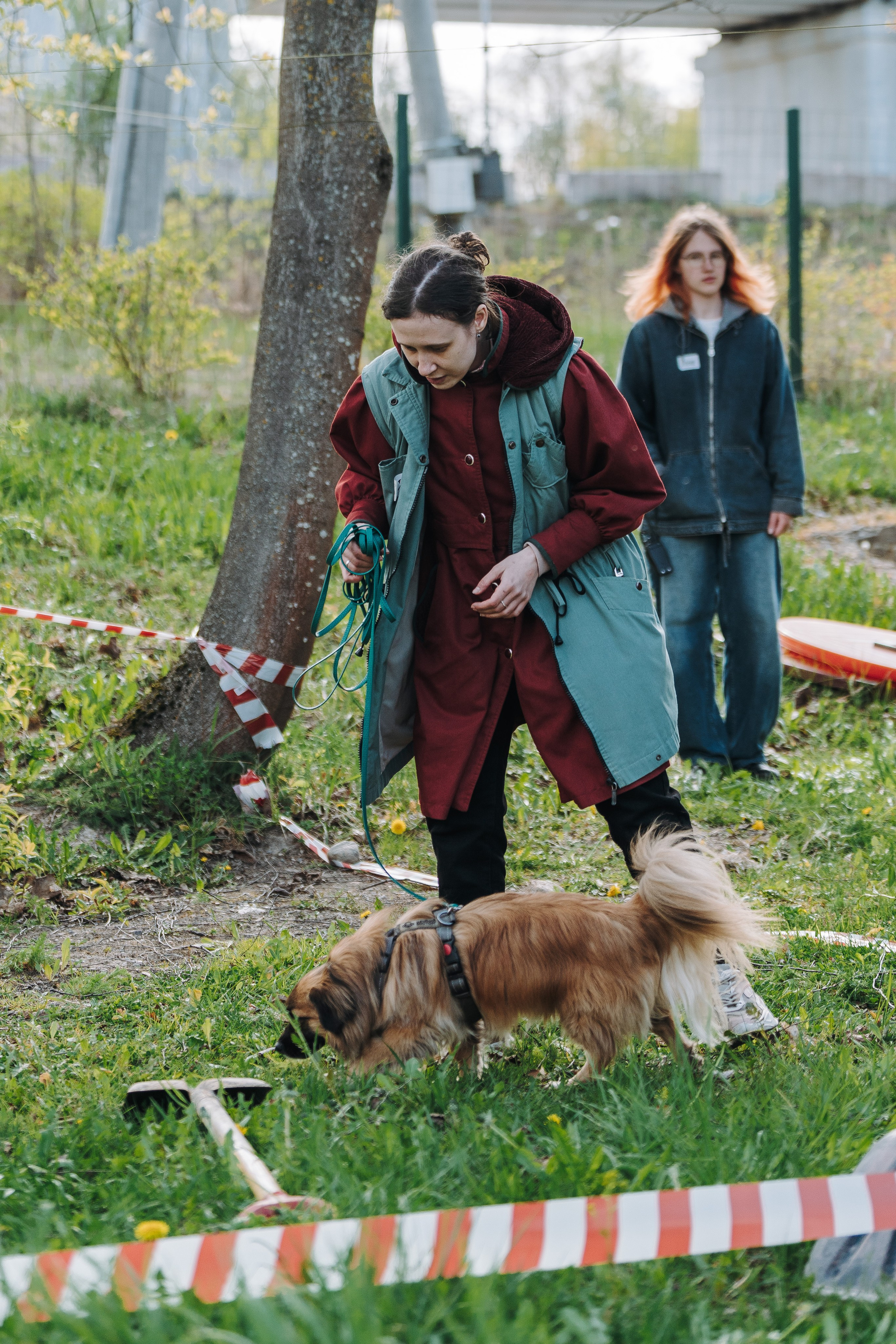 Соревнования по ноузворку в Лосево. Фотограф анималист в Спб недорого Олеся Майорова