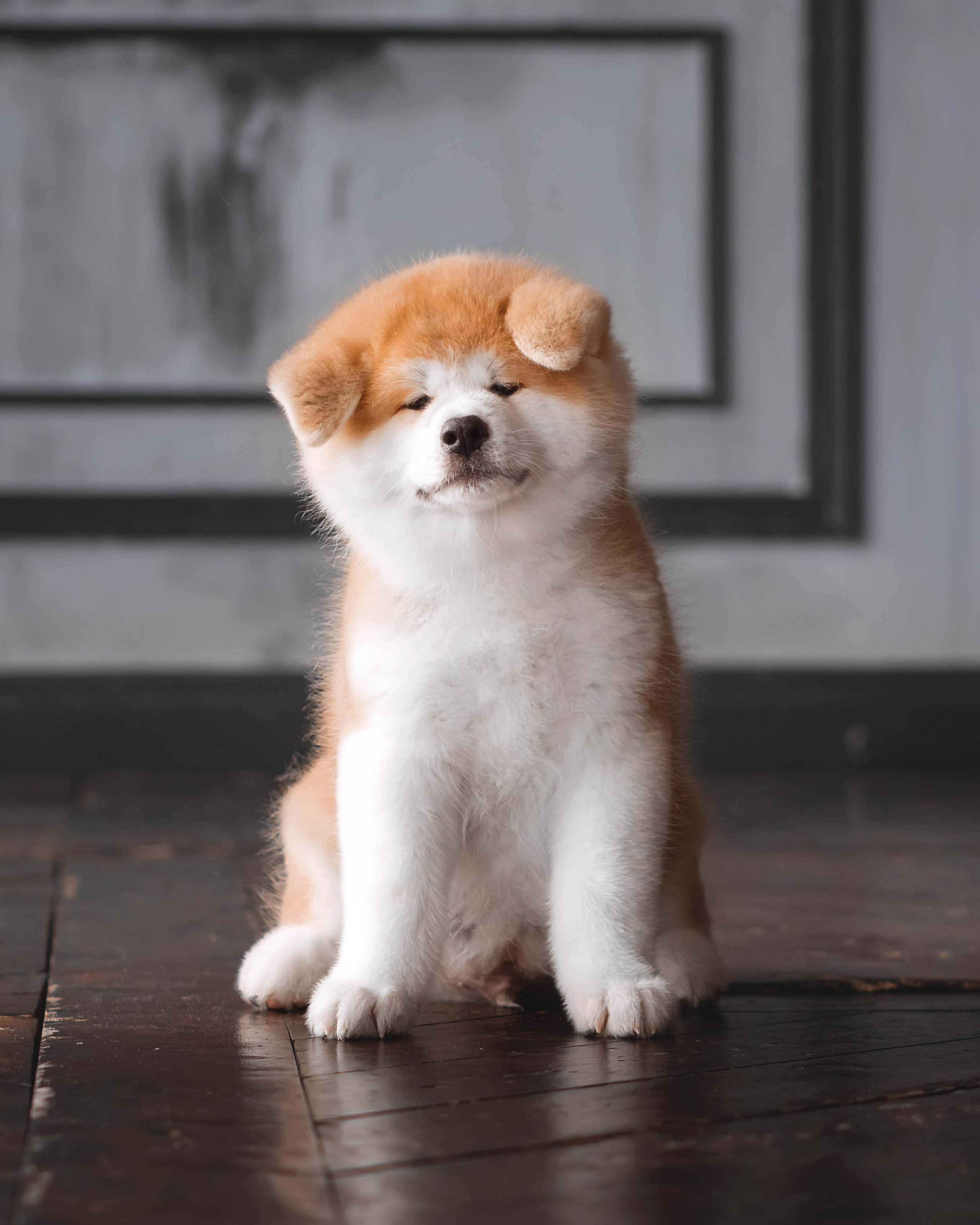 Предыдущие пометы. Алена Попова — фотограф в Хабаровске