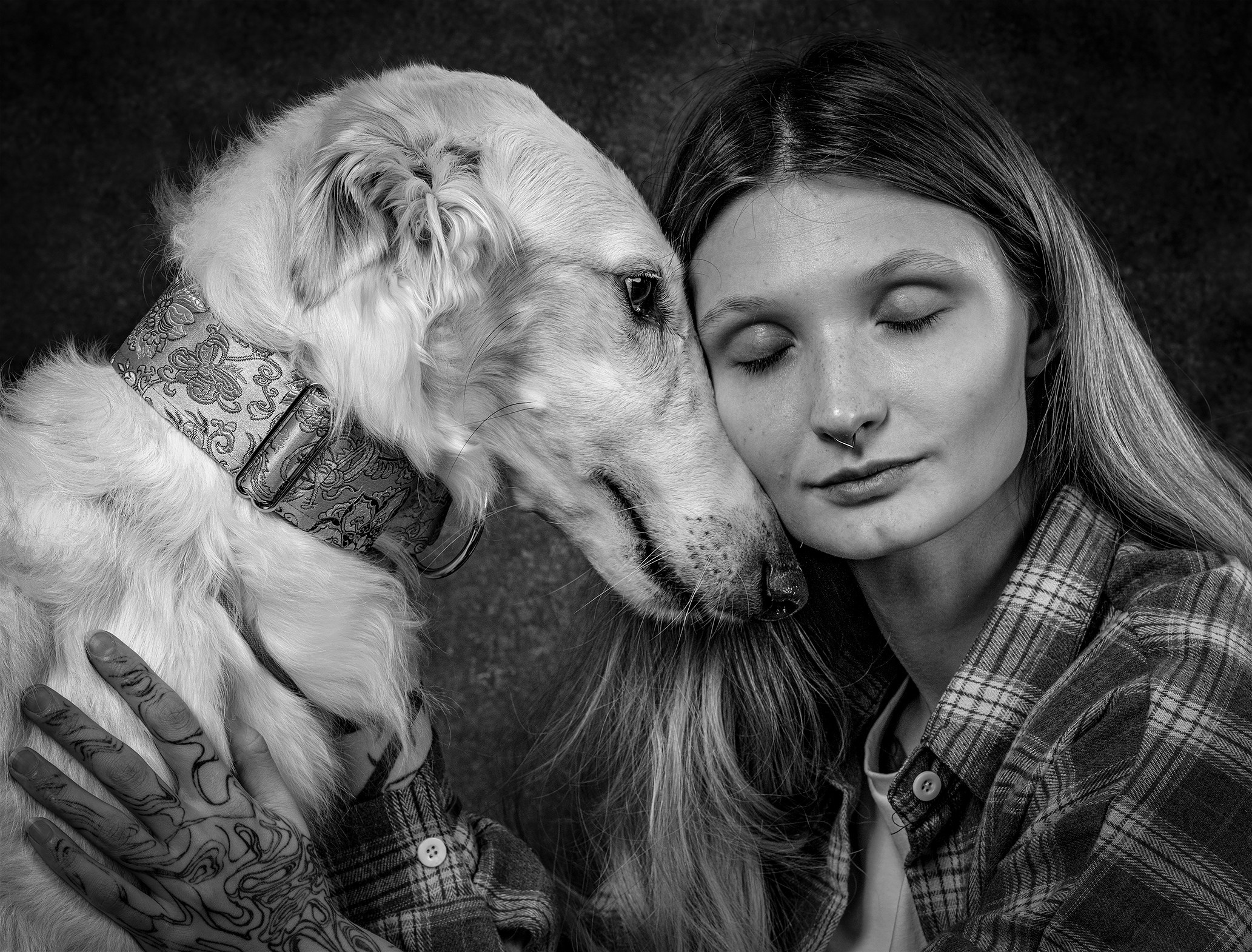 Портреты животных. Арт-фотограф Михаил Danko, г. Новосибирск