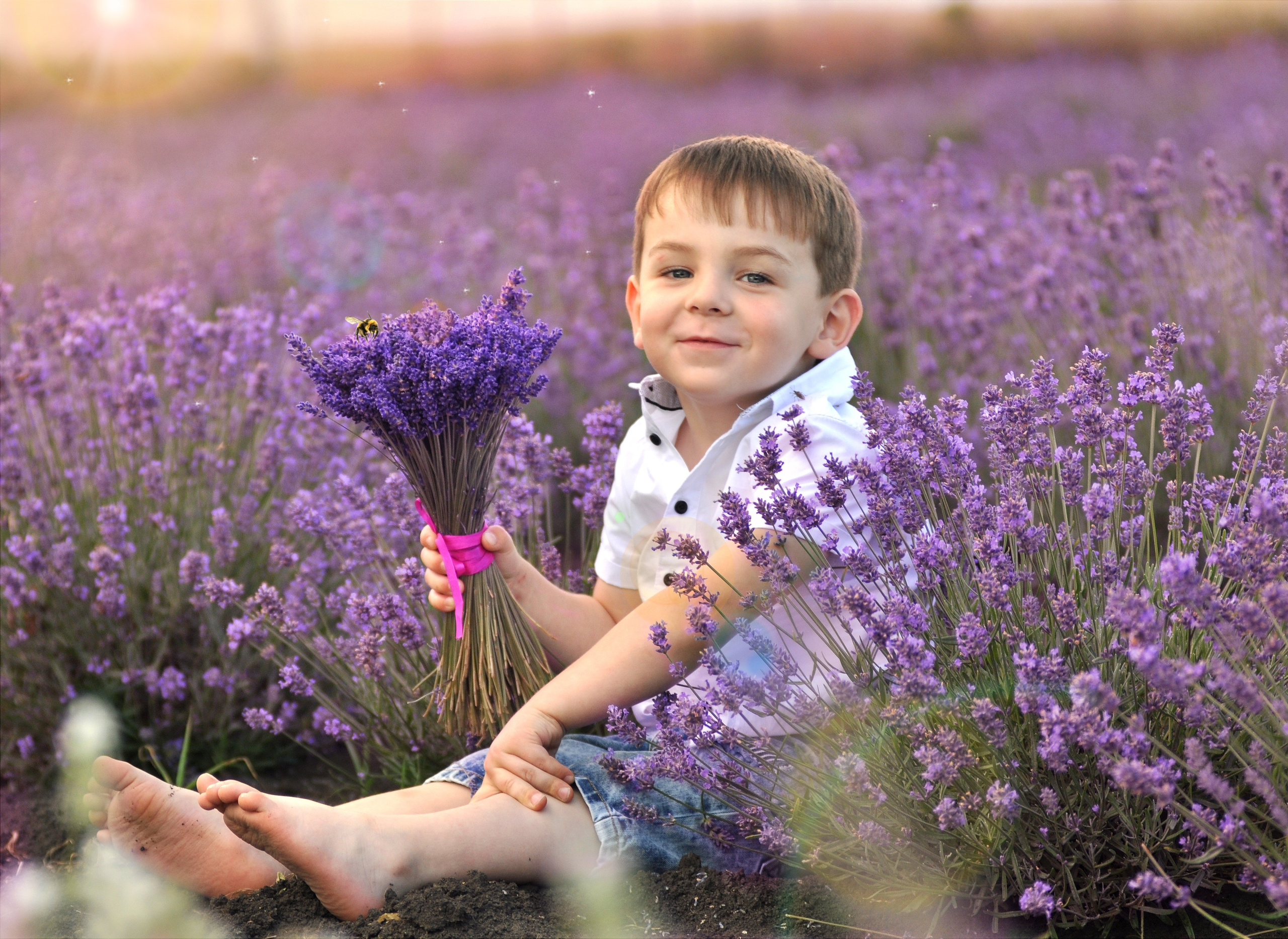 Лаванда. Главная