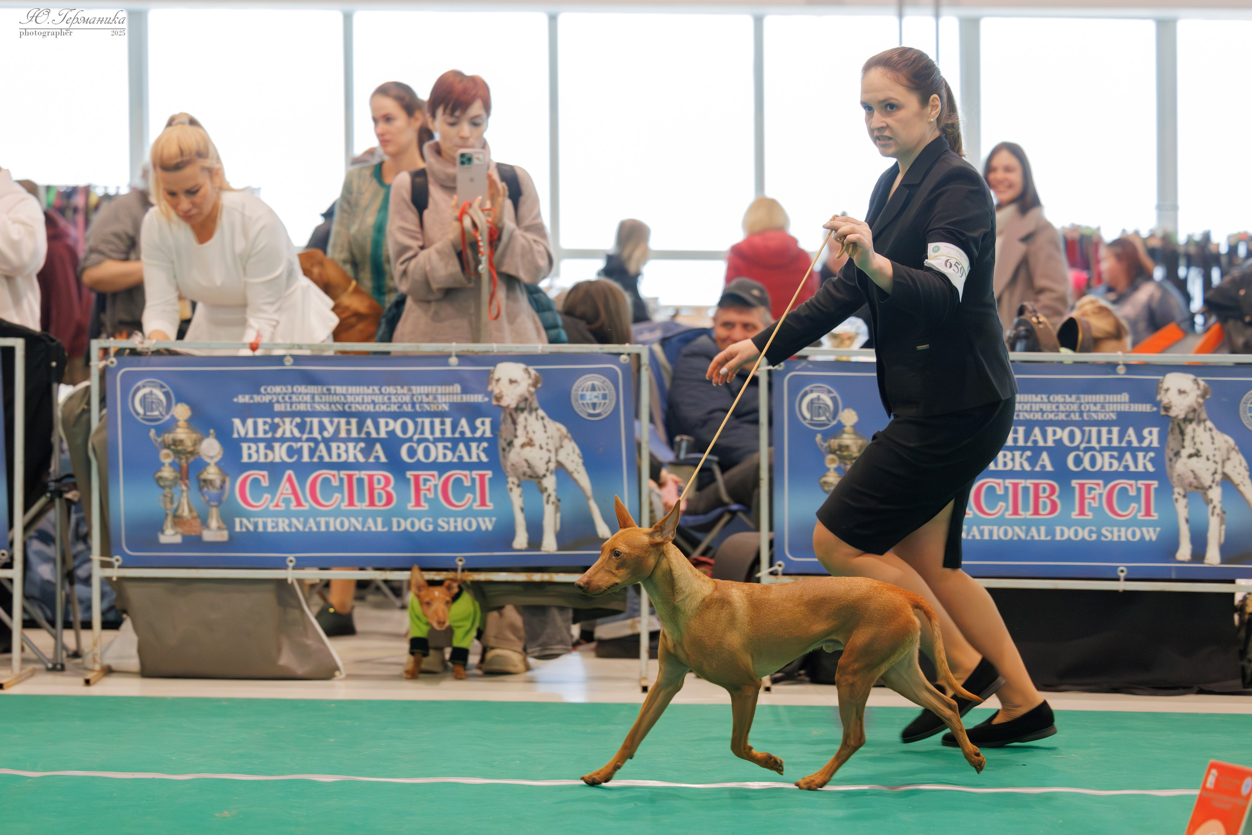 Минск 1-2.03.2025. Фотограф-анималист Юлия Германика