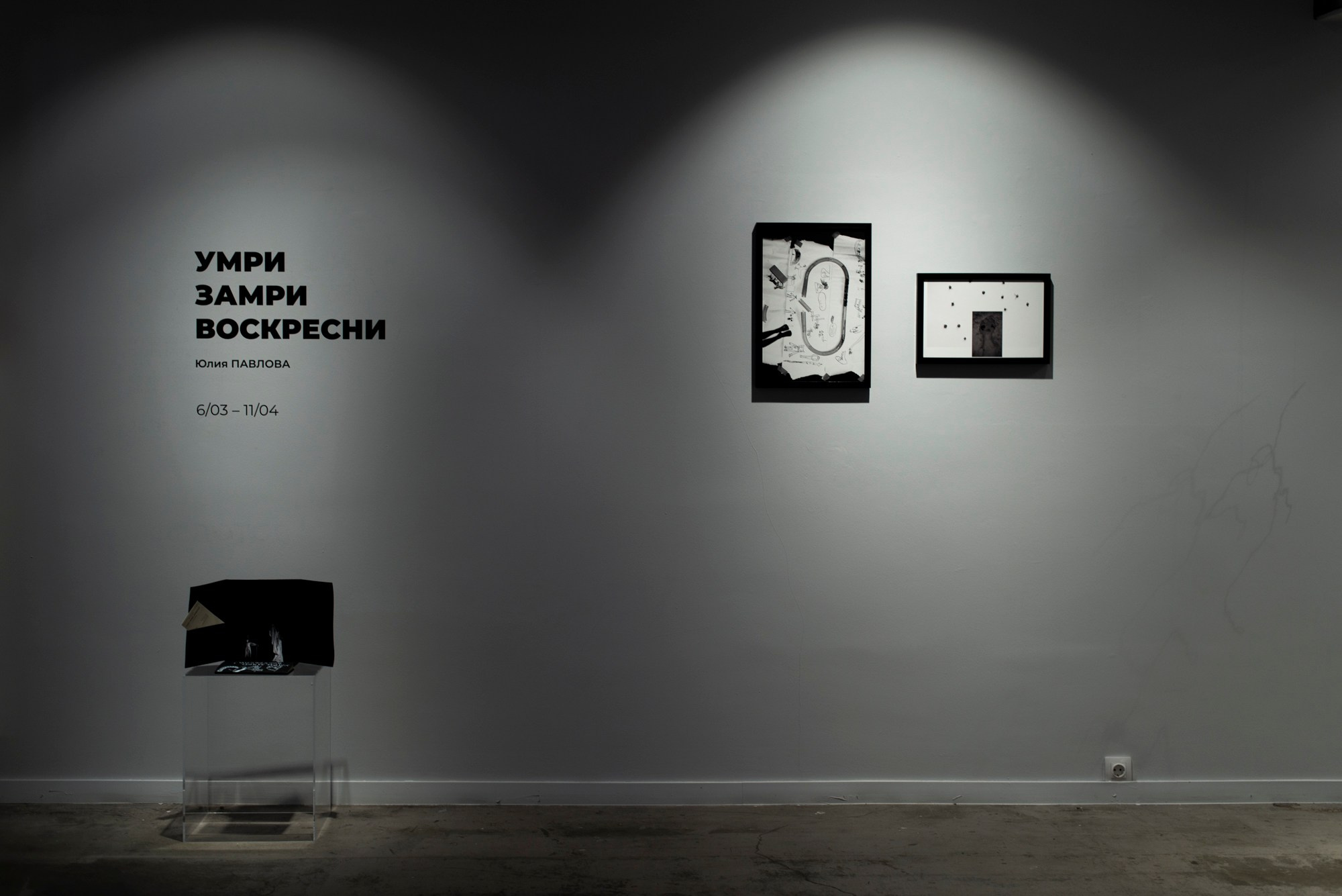 Die, freeze, rise! Pennlab gallery 2024. Main