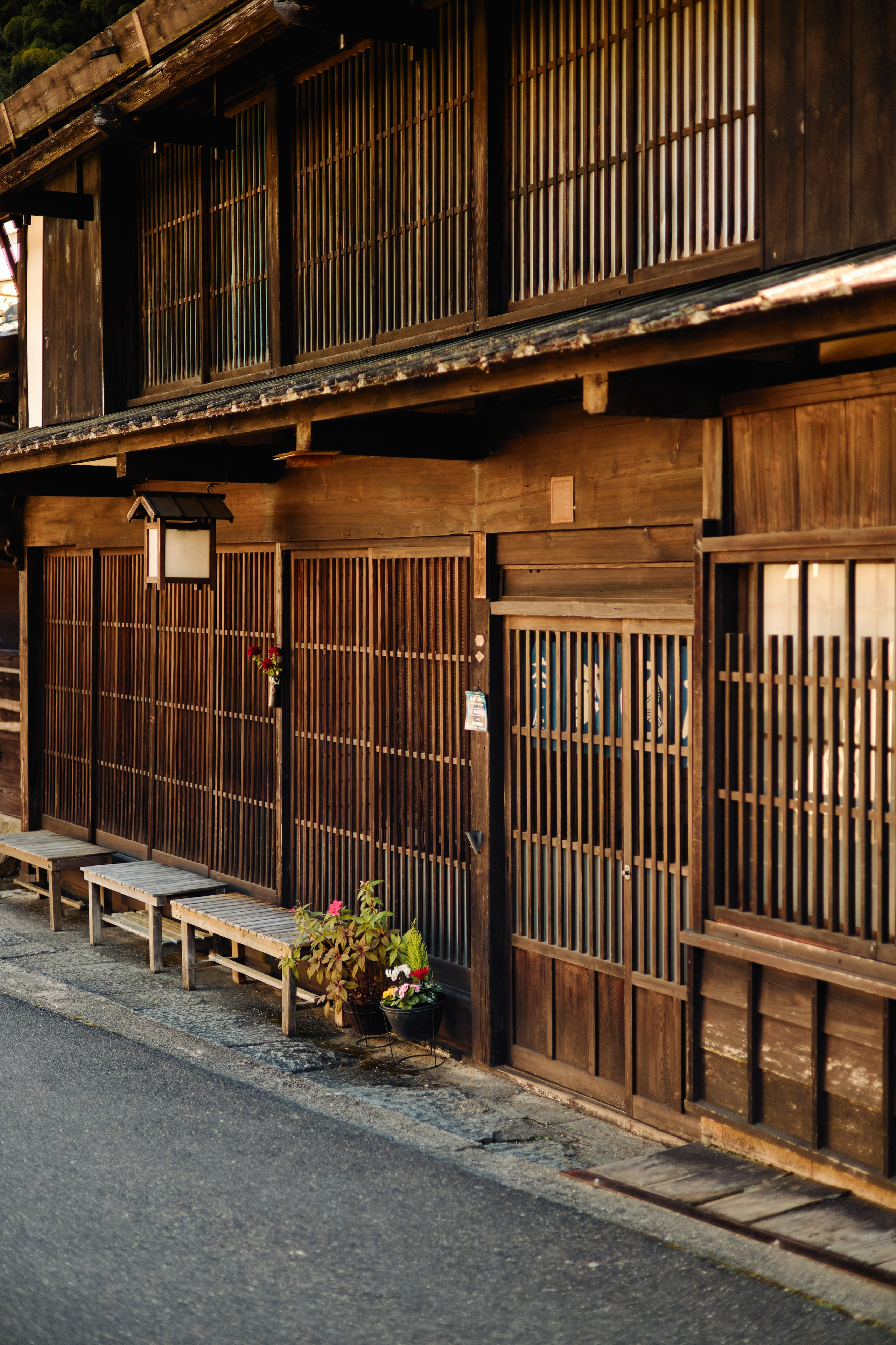 Япония. Профессиональный Фотограф во Владимире, в Москве и в Суздале — Полина Романычева