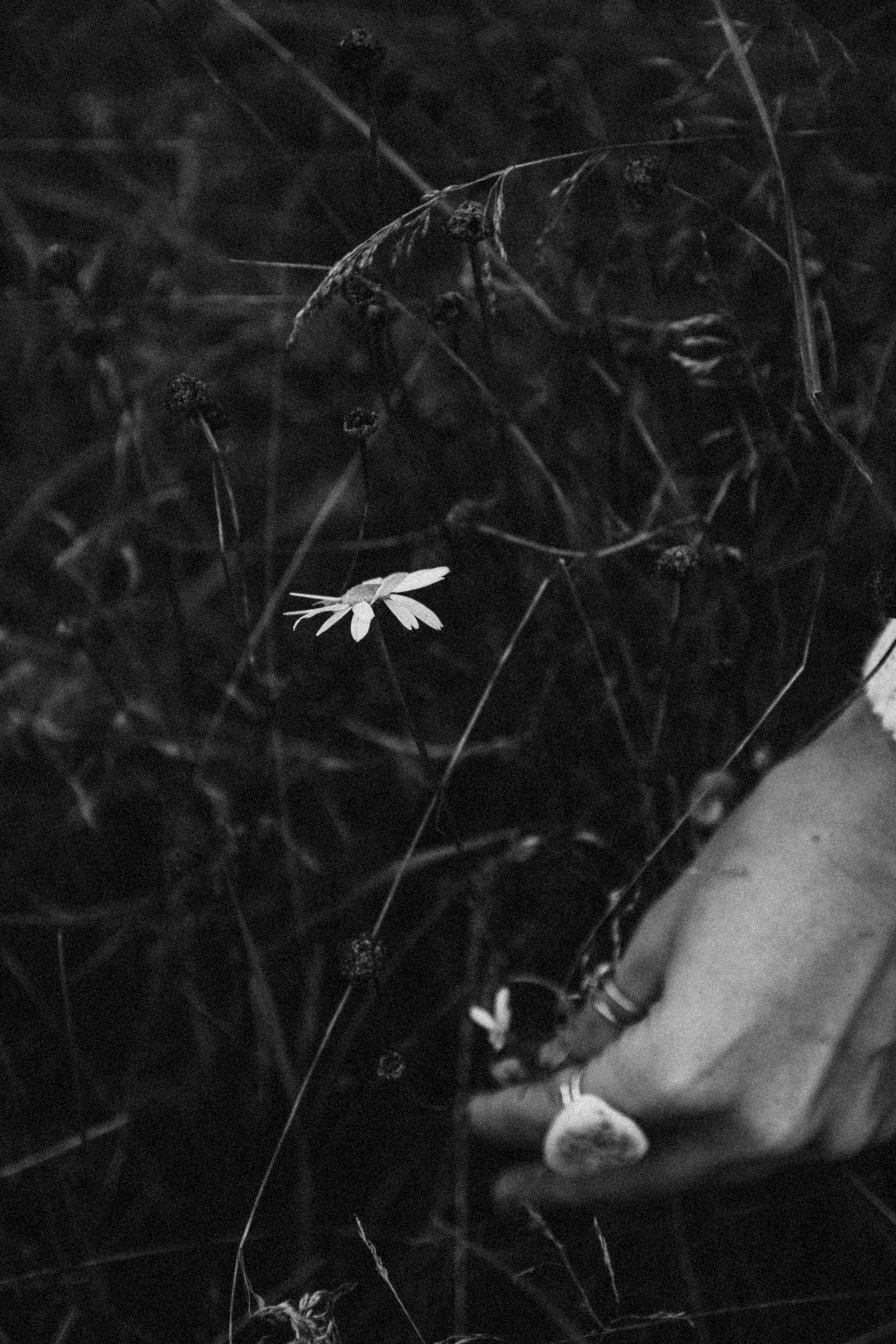 Фотопрогулка, живые эмоции - все это про тебя. Свадебный и семейный фотограф Даша Петрова в Москве и Подмосковье