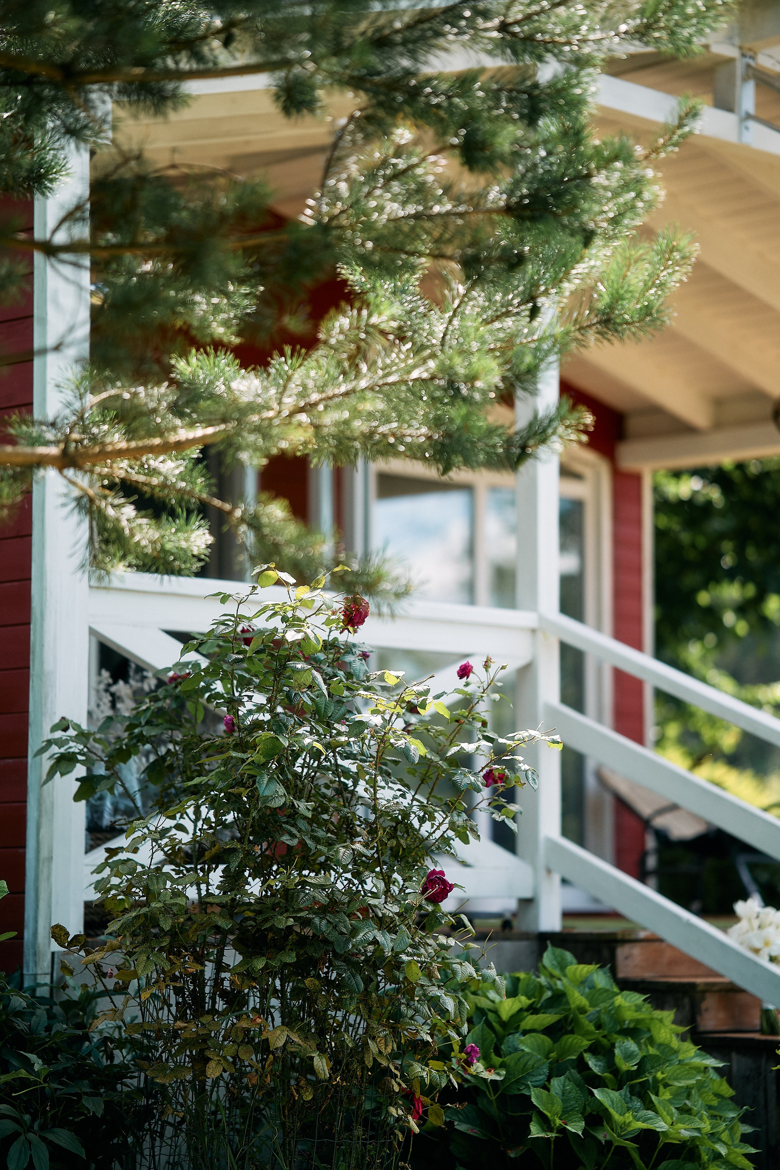 Виталий и Диана. Свадебный фотограф Минск РБ