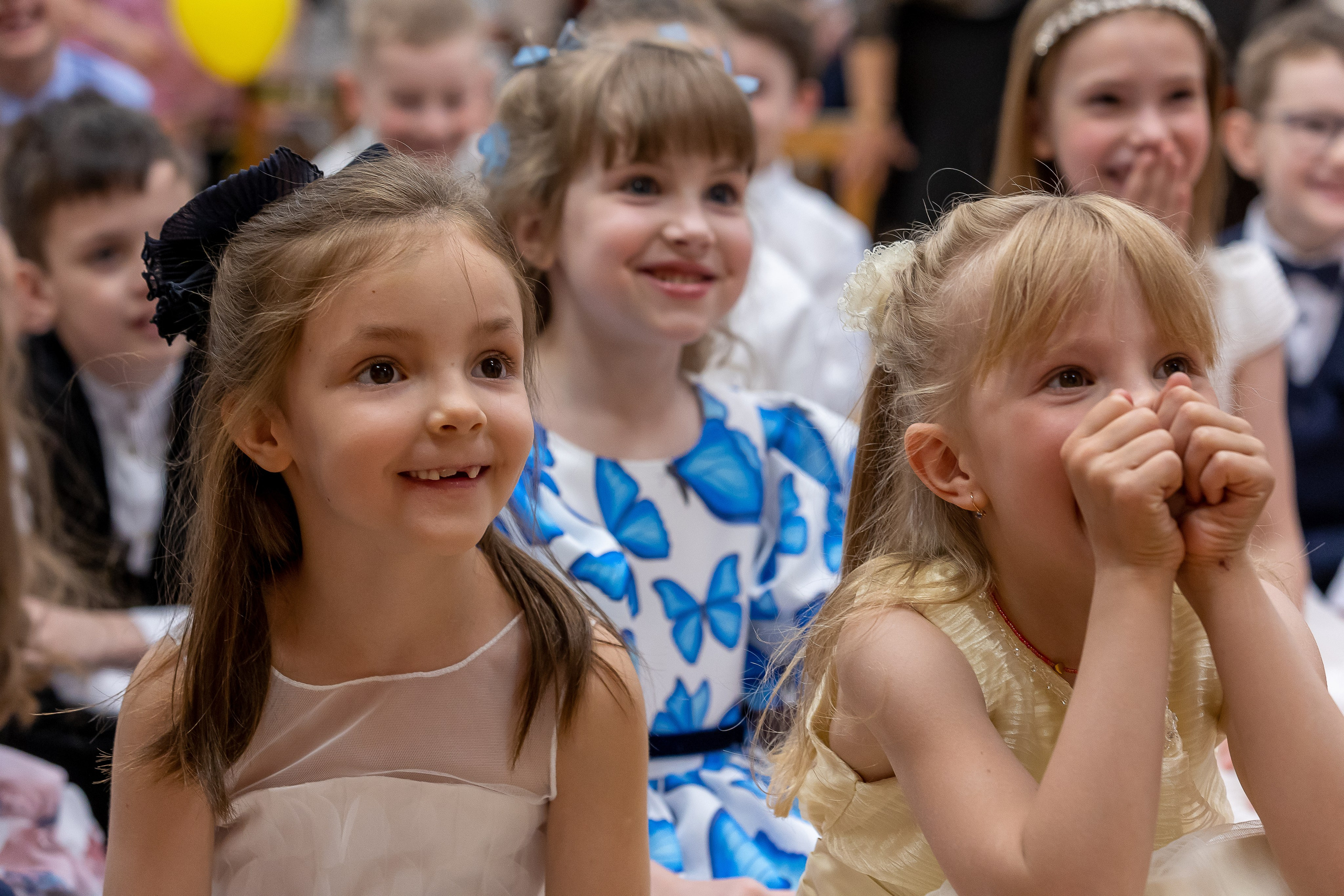 Выпускной " Незабудки» май 2024. Фото и видео съемка Ваших мероприятий