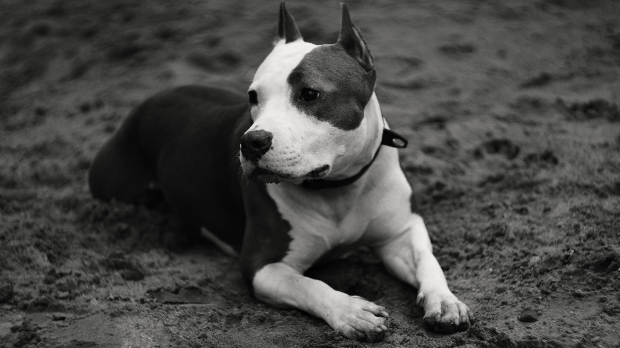 Луна. Профессиональный фотограф