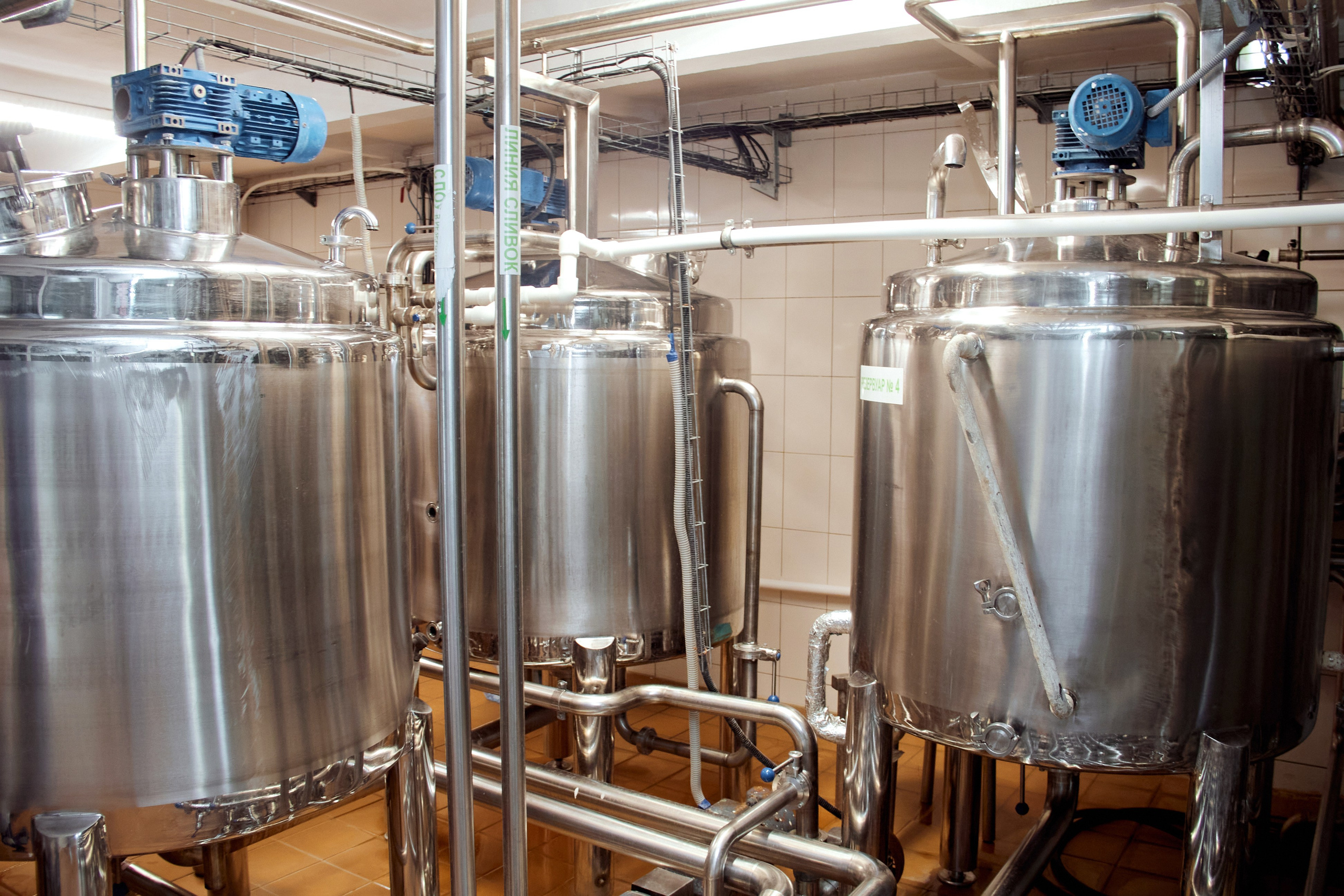 Экскурсия «Агроферма-Катынь». Фотограф в Смоленске Ася Польшина