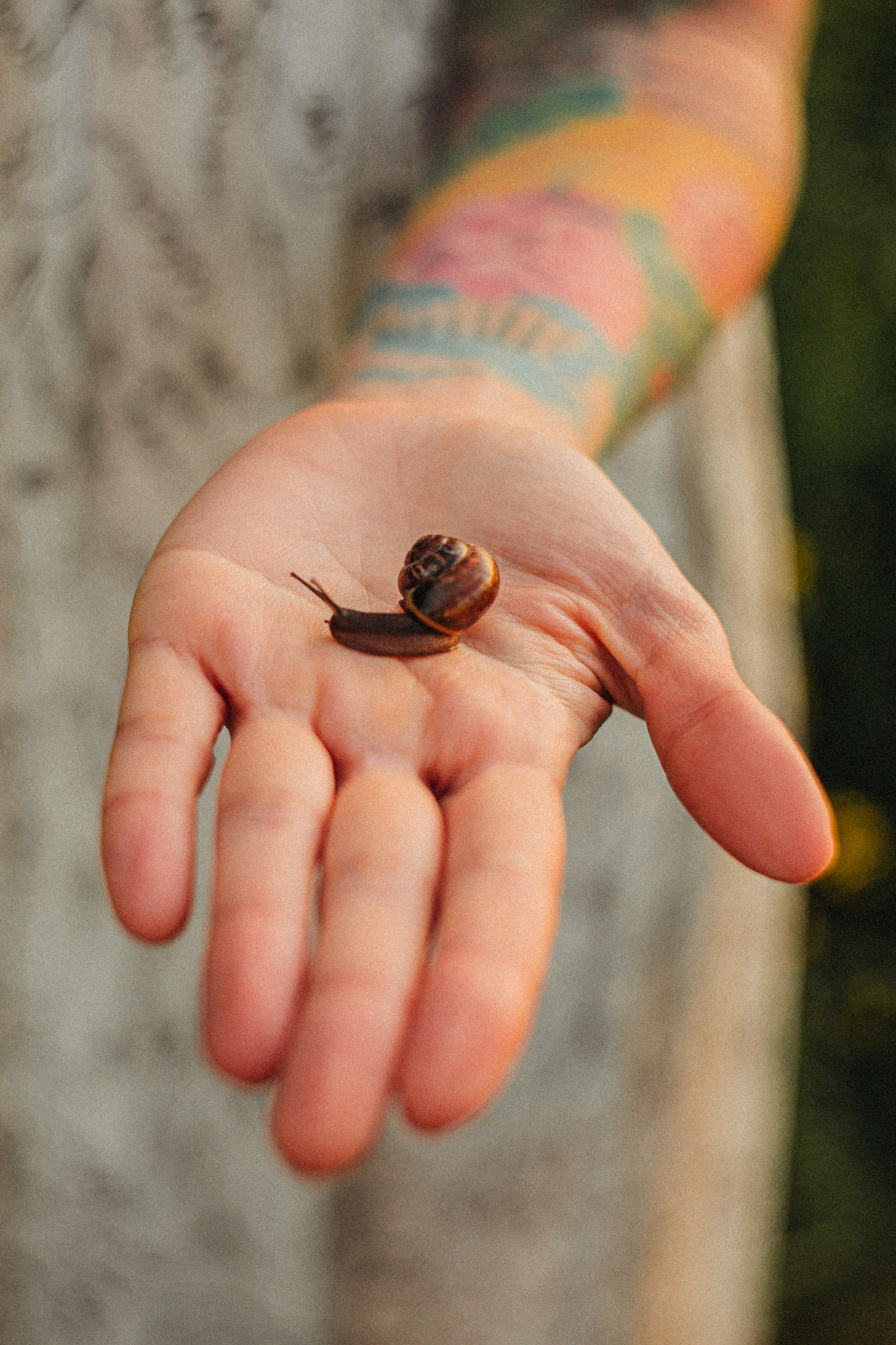 JULIA. Портретный и Семейный фотограф в Санкт-Петербурге Rocket Alice