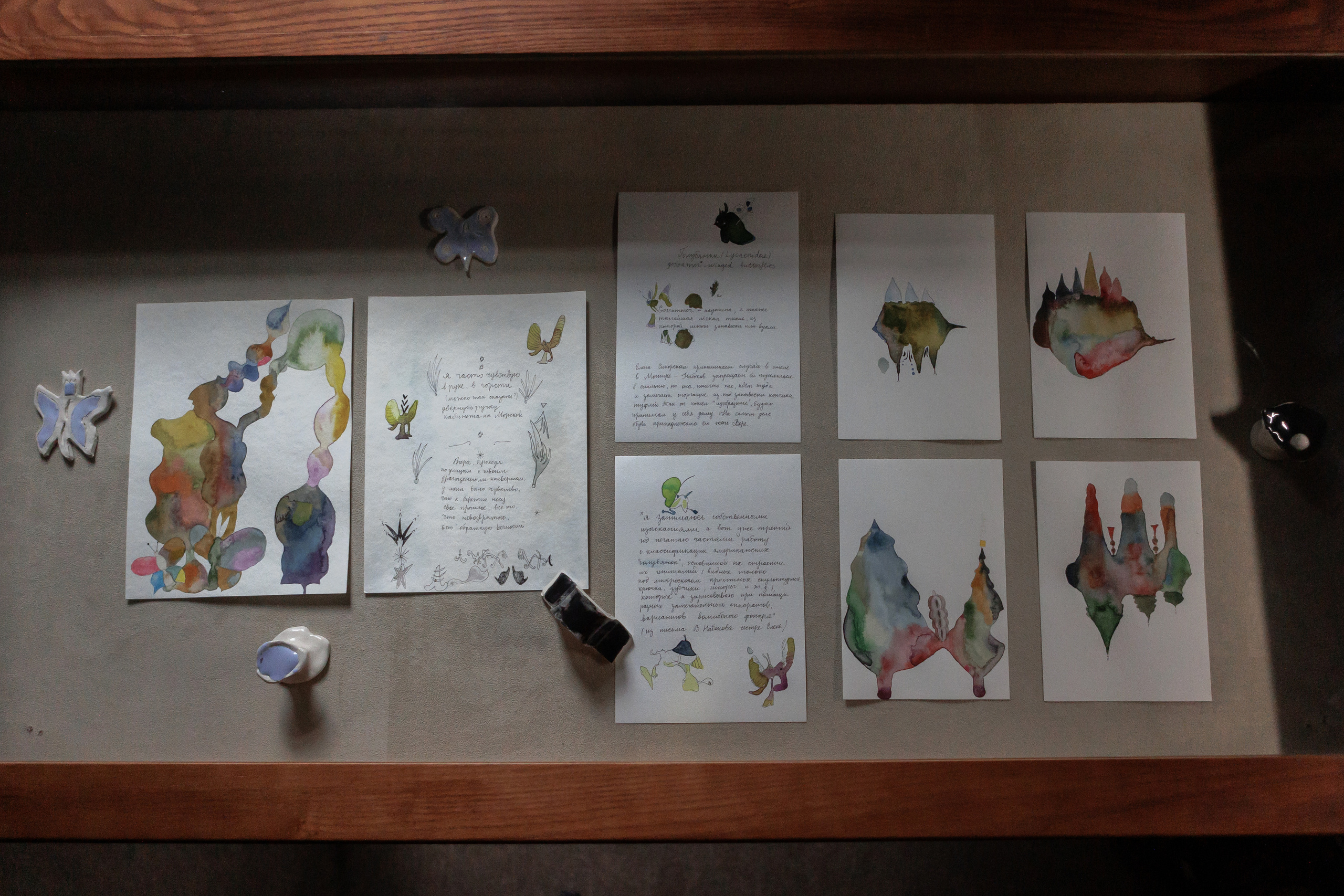 How to catch a moth?. Ilia Kronchev-Ivanov