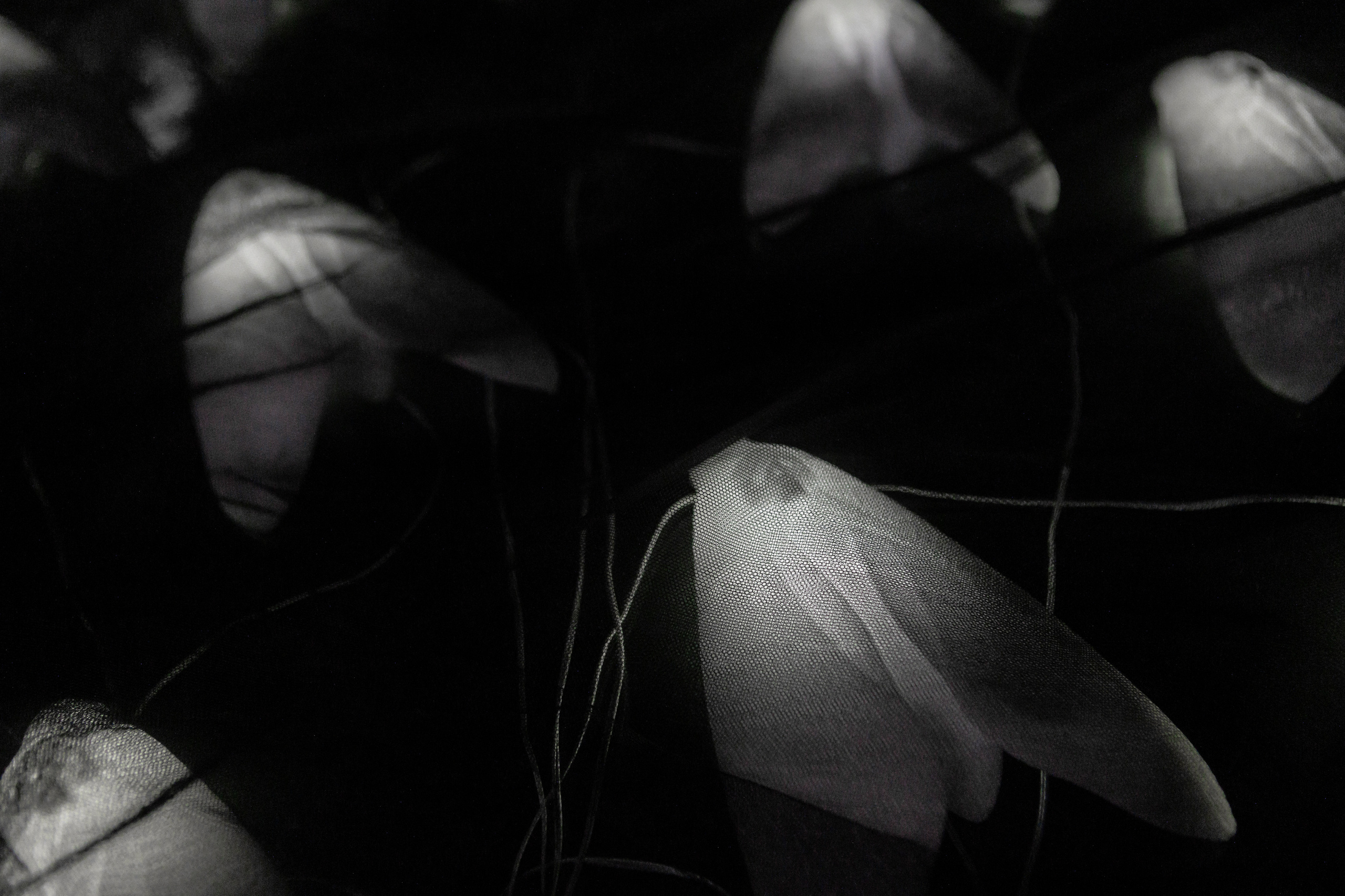 How to catch a moth?. Ilia Kronchev-Ivanov