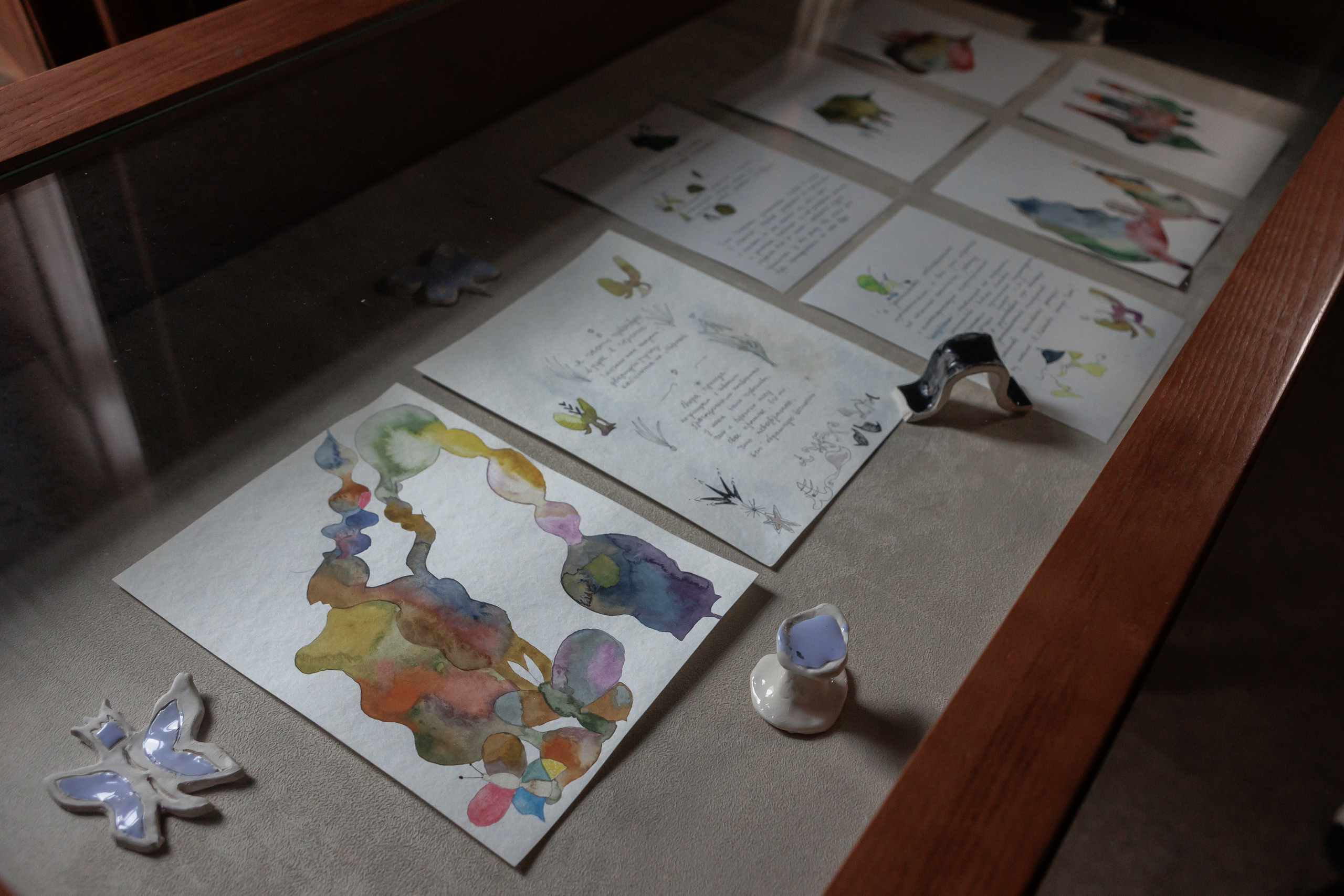 How to catch a moth?. Ilia Kronchev-Ivanov