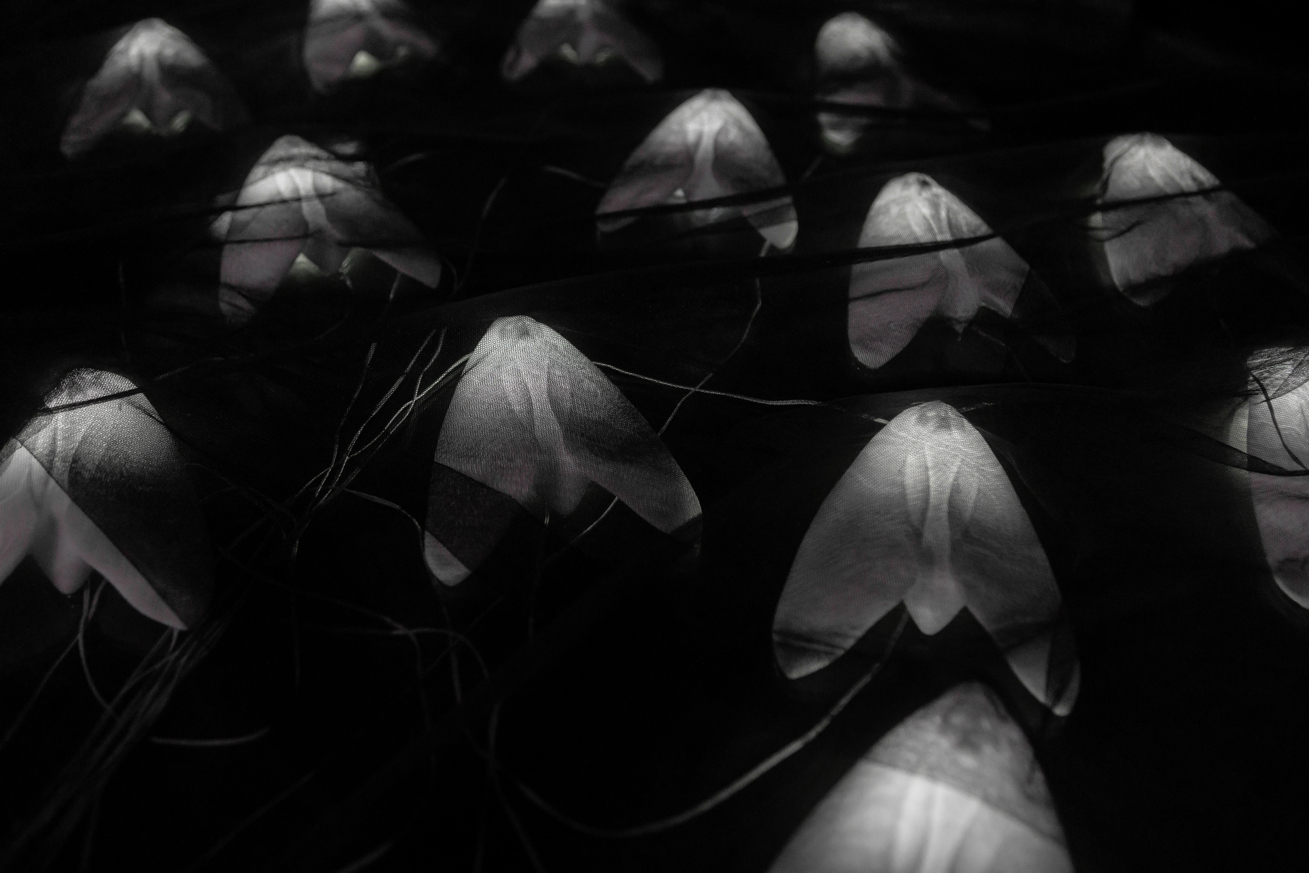 How to catch a moth?. Ilia Kronchev-Ivanov