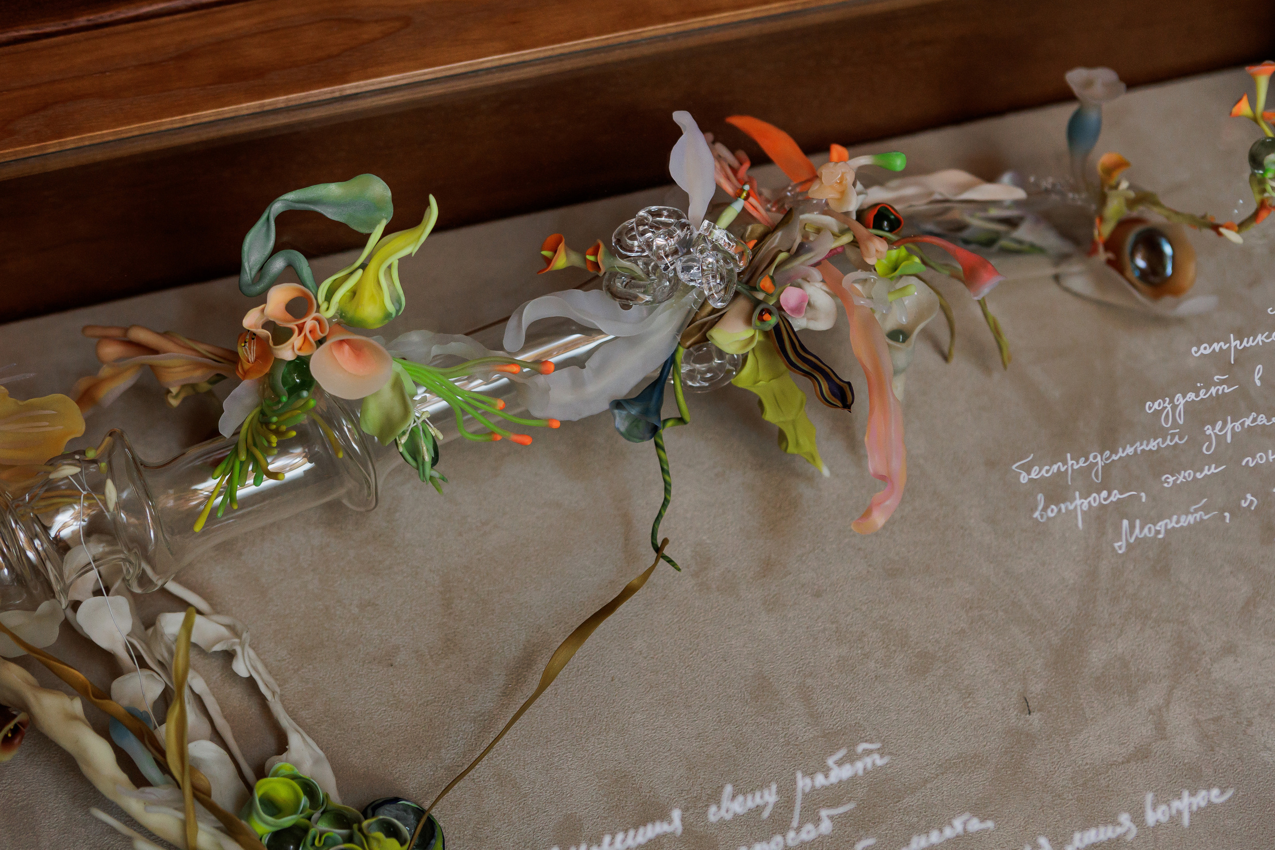 How to catch a moth?. Ilia Kronchev-Ivanov