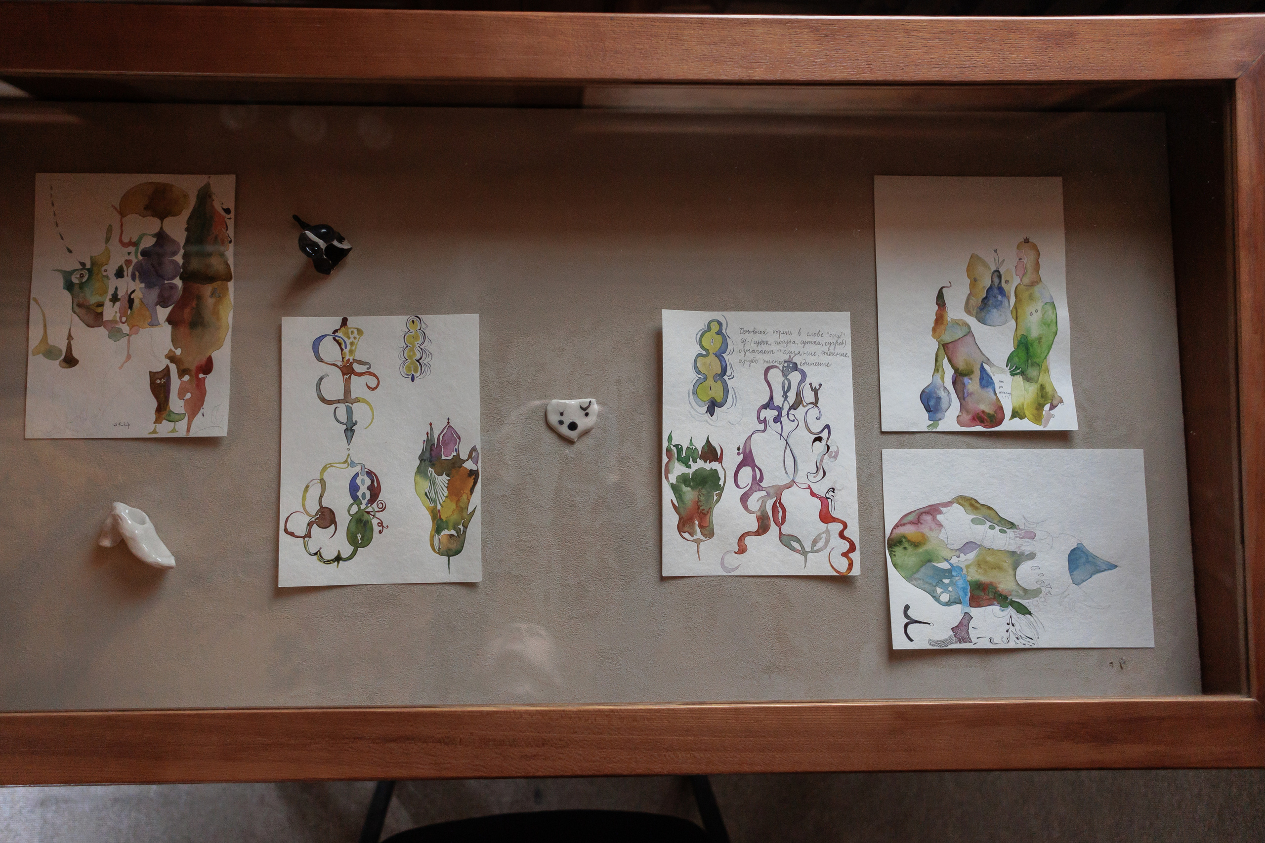 How to catch a moth?. Ilia Kronchev-Ivanov