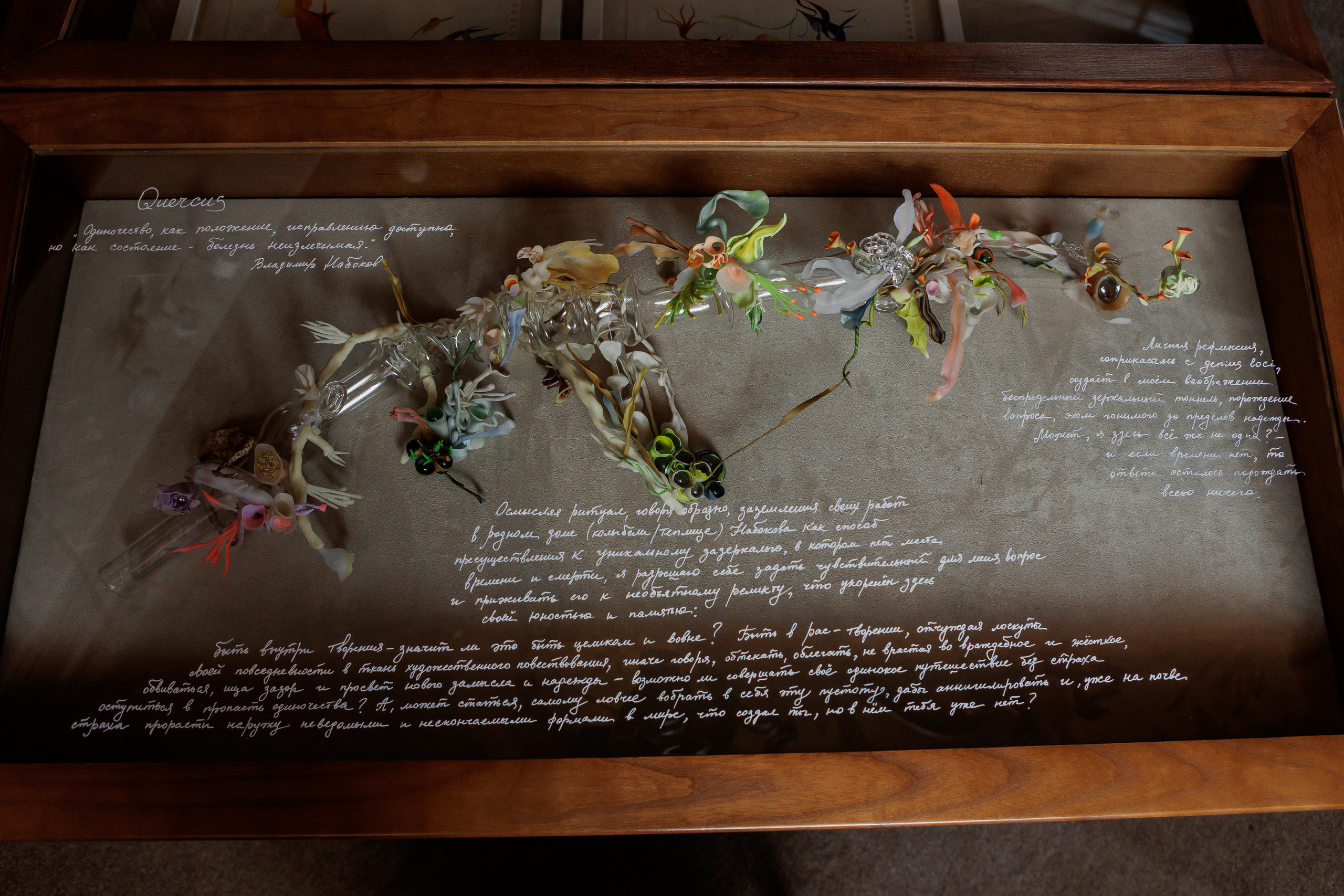 How to catch a moth?. Ilia Kronchev-Ivanov