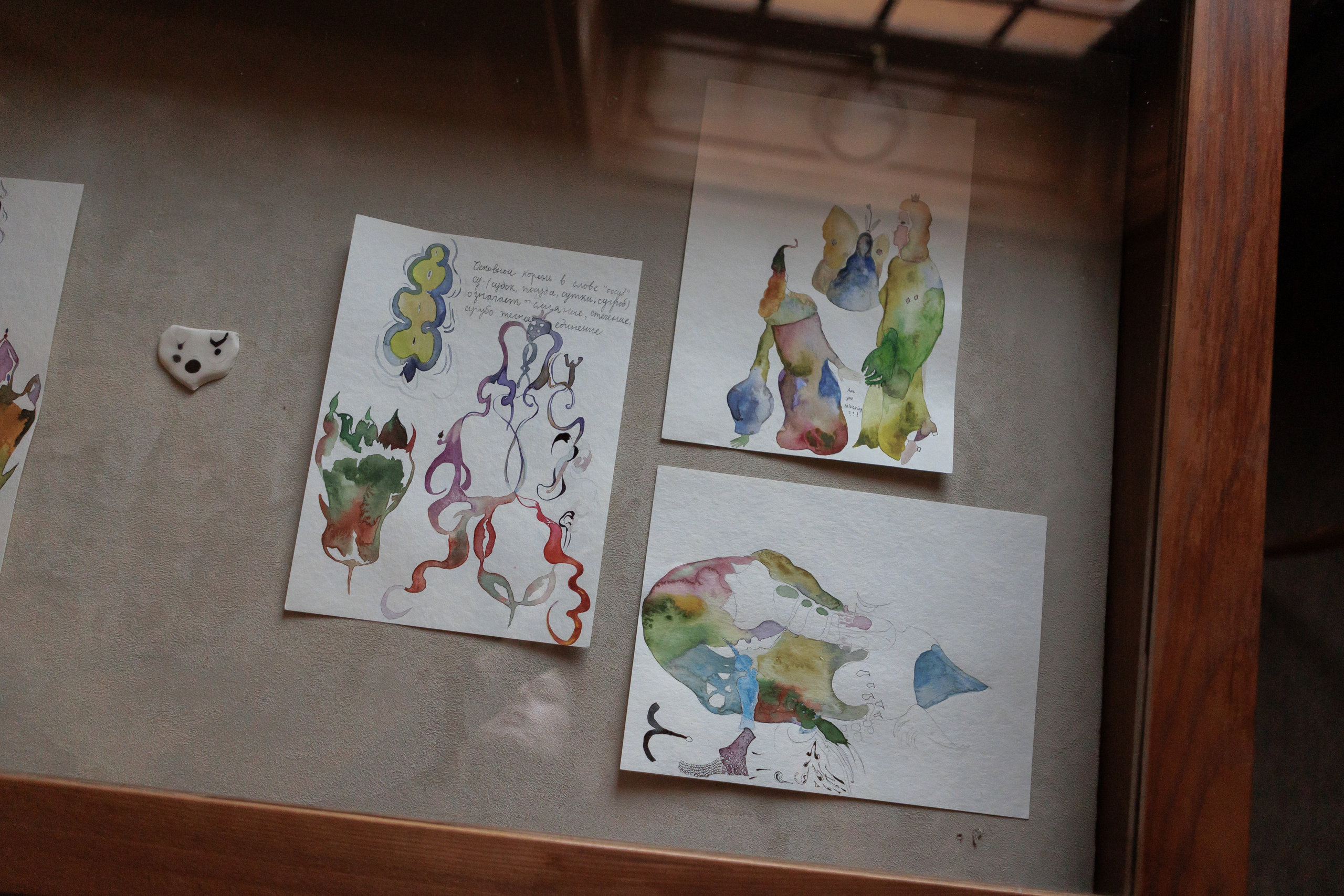 How to catch a moth?. Ilia Kronchev-Ivanov