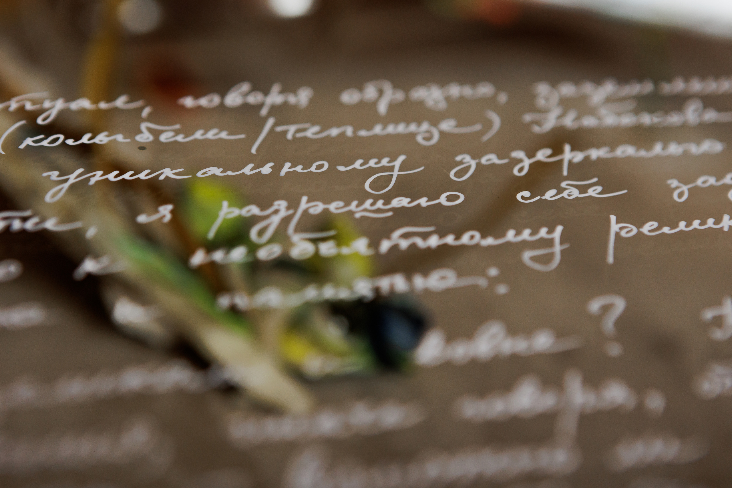 How to catch a moth?. Ilia Kronchev-Ivanov