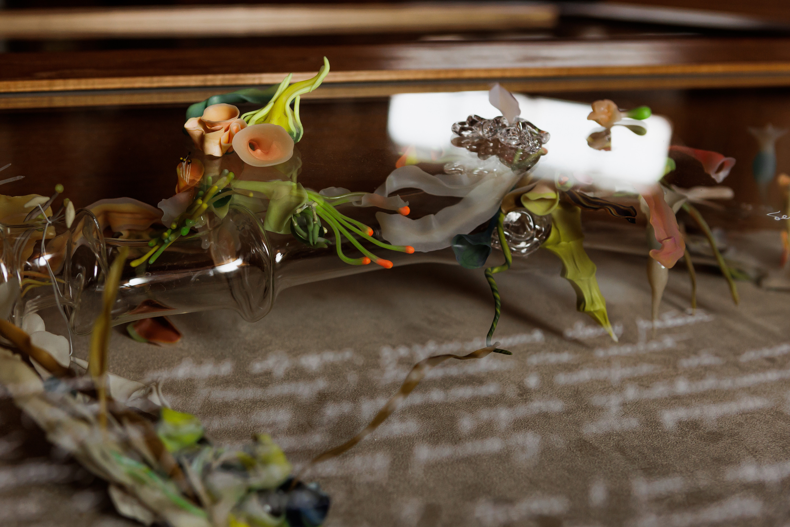 How to catch a moth?. Ilia Kronchev-Ivanov