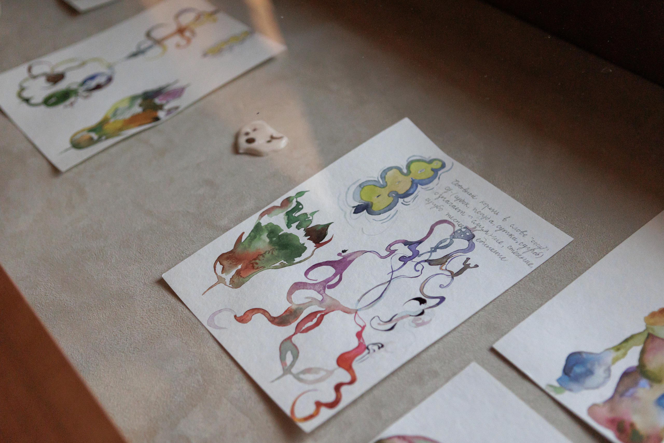 How to catch a moth?. Ilia Kronchev-Ivanov