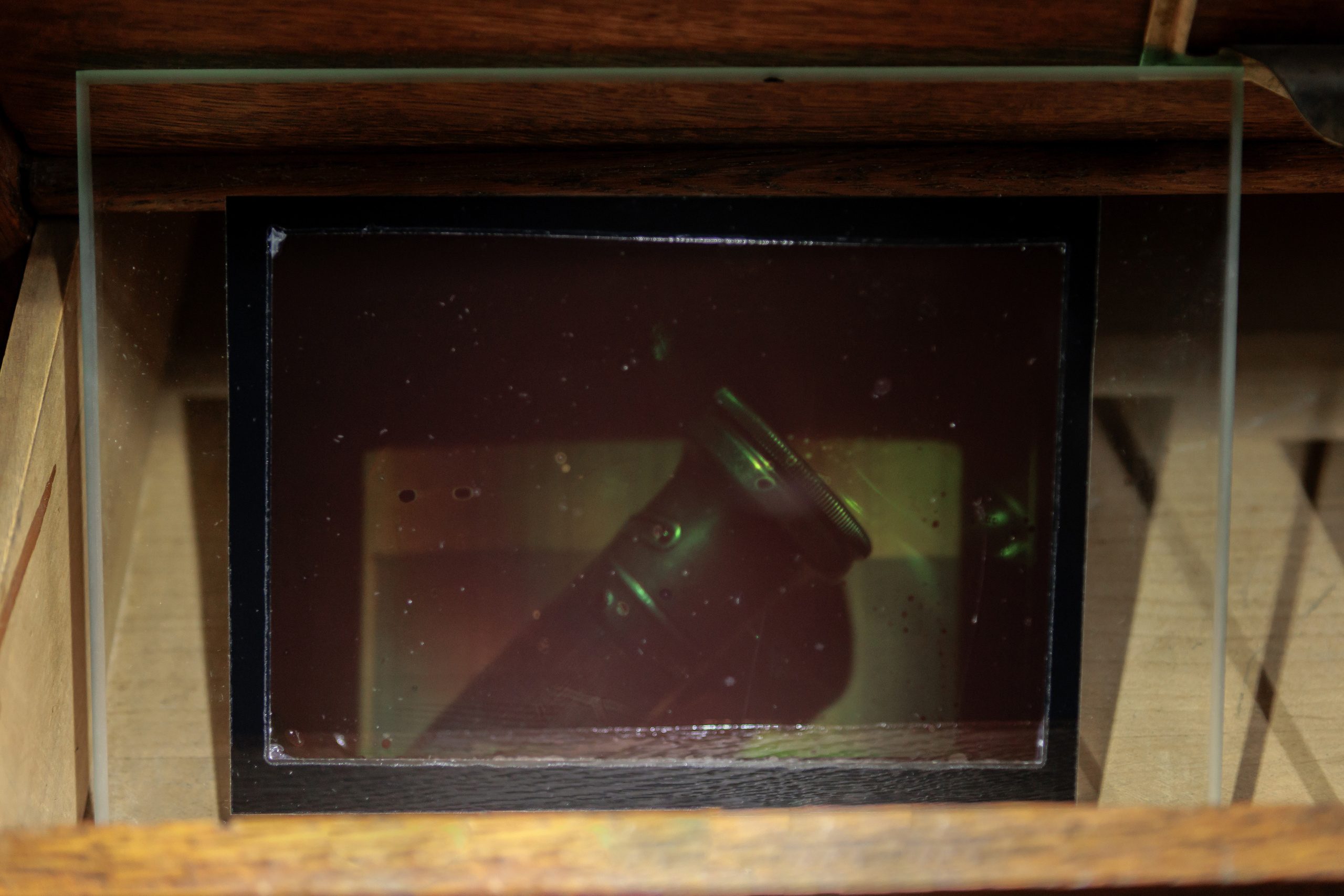 How to catch a moth?. Ilia Kronchev-Ivanov