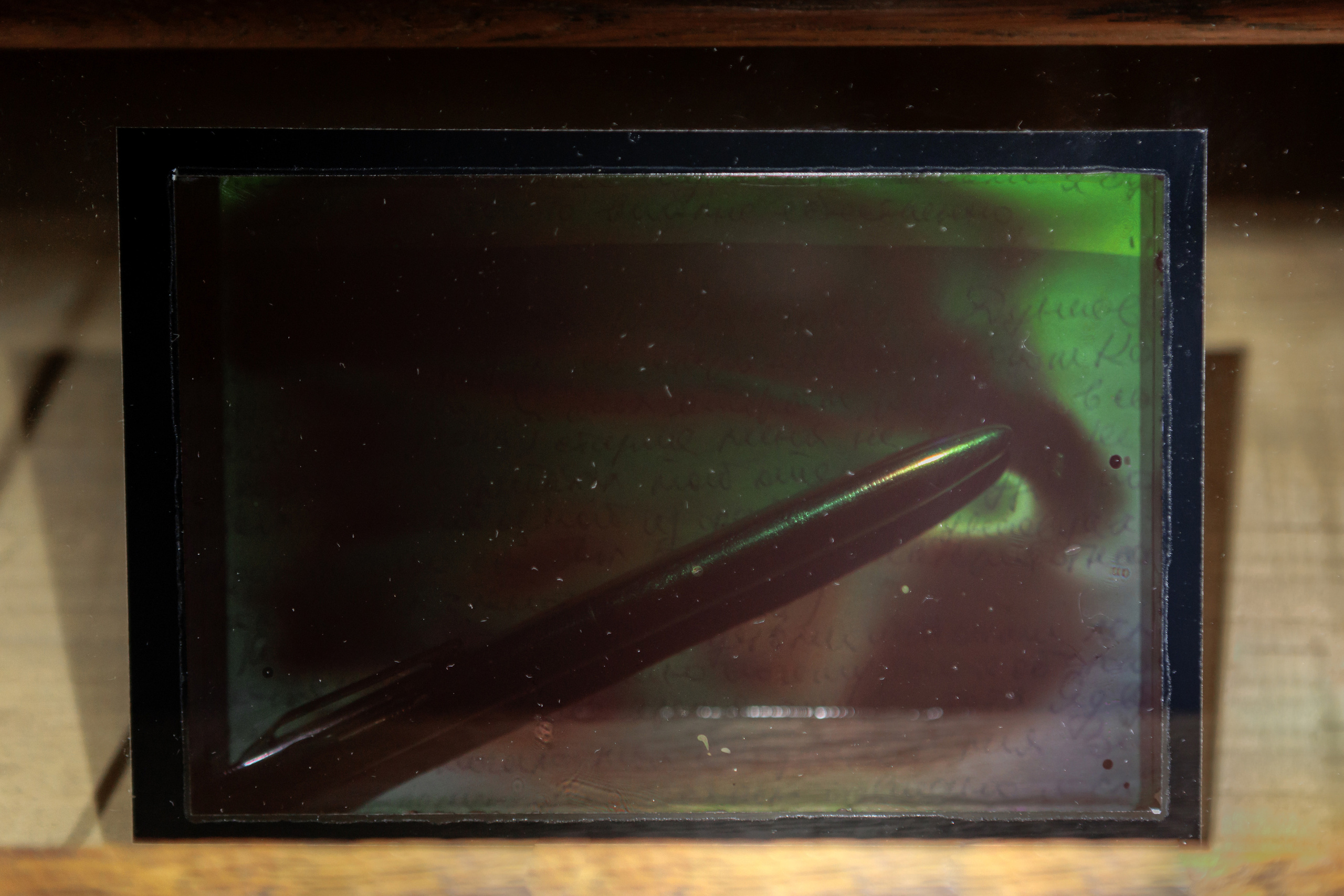 How to catch a moth?. Ilia Kronchev-Ivanov