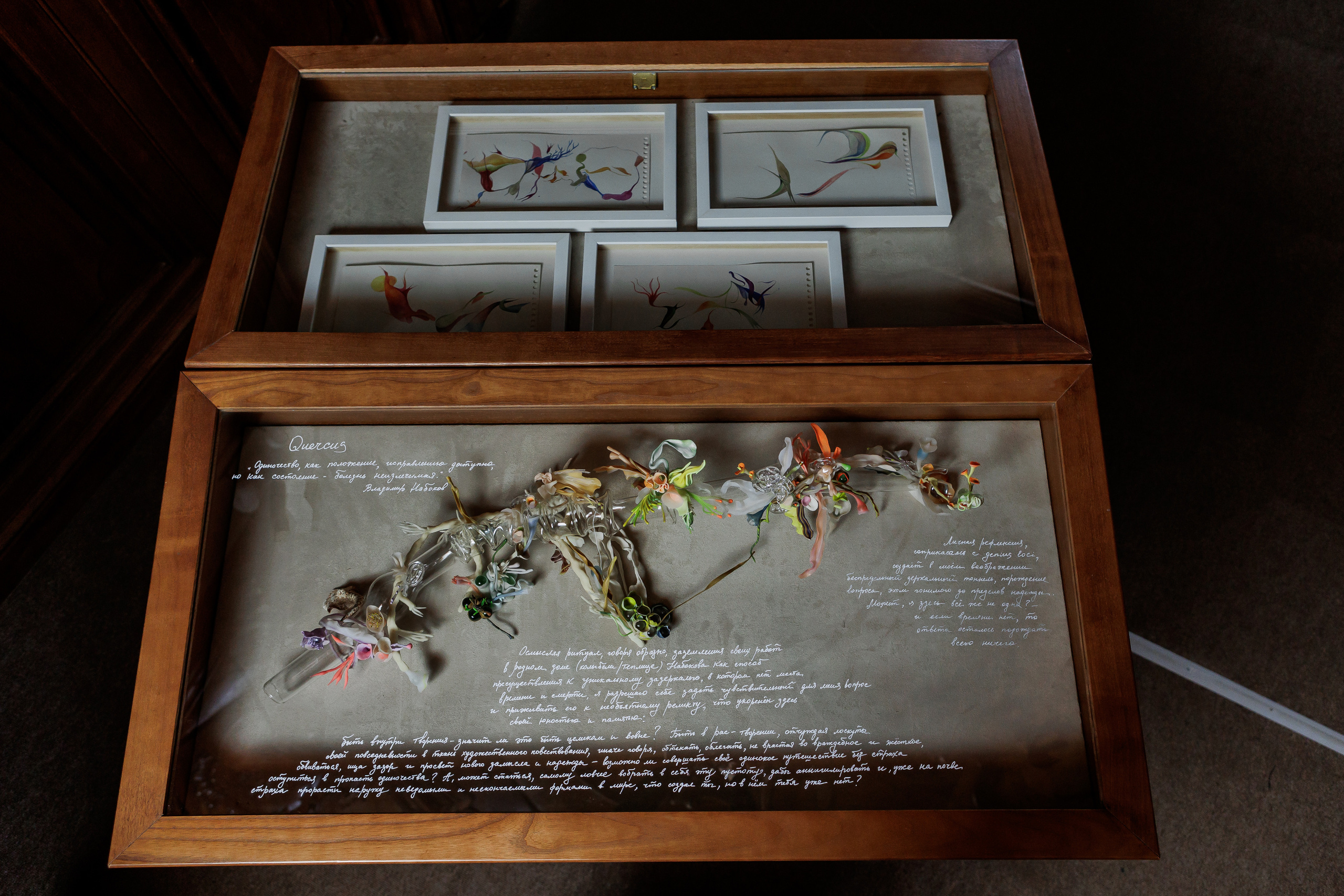 How to catch a moth?. Ilia Kronchev-Ivanov