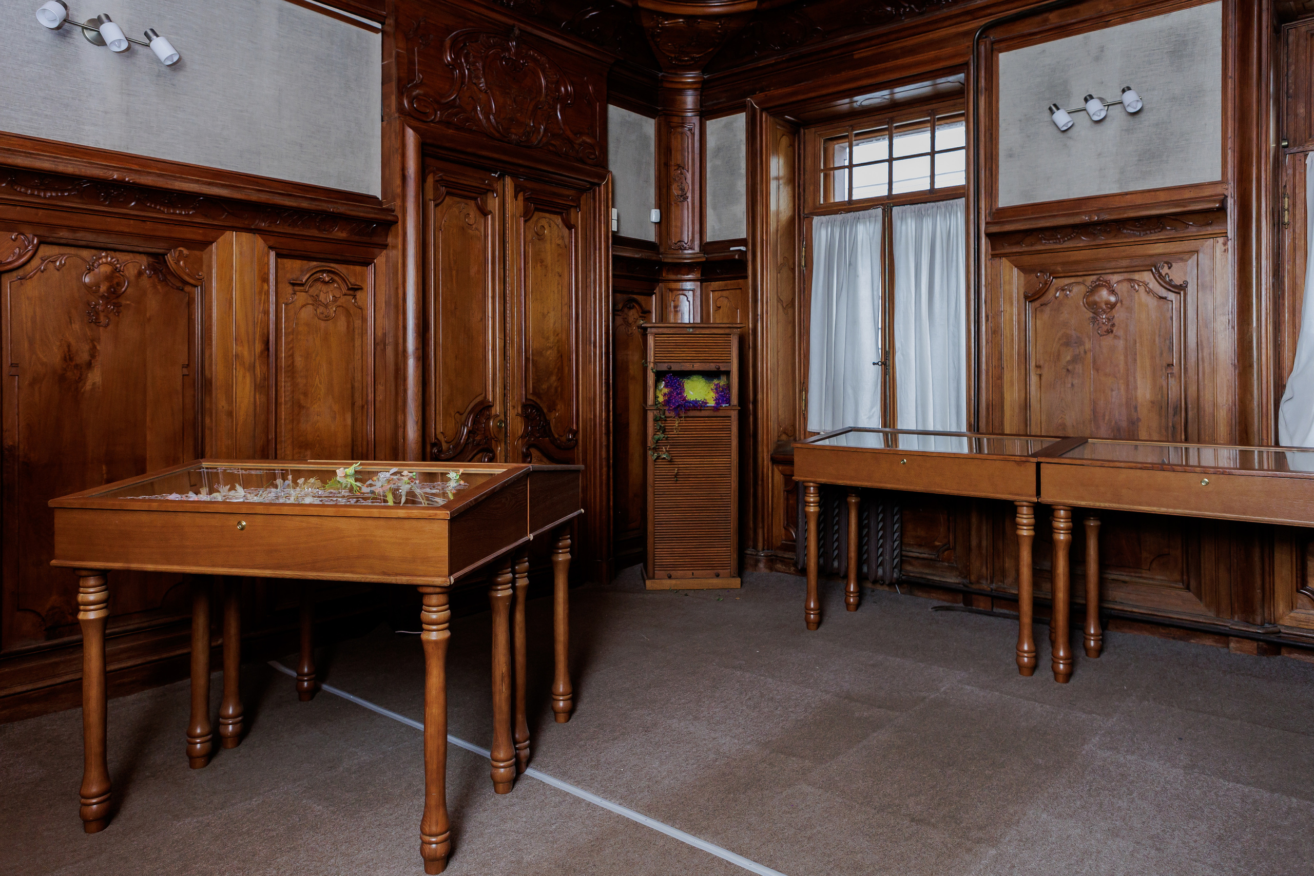 How to catch a moth?. Ilia Kronchev-Ivanov