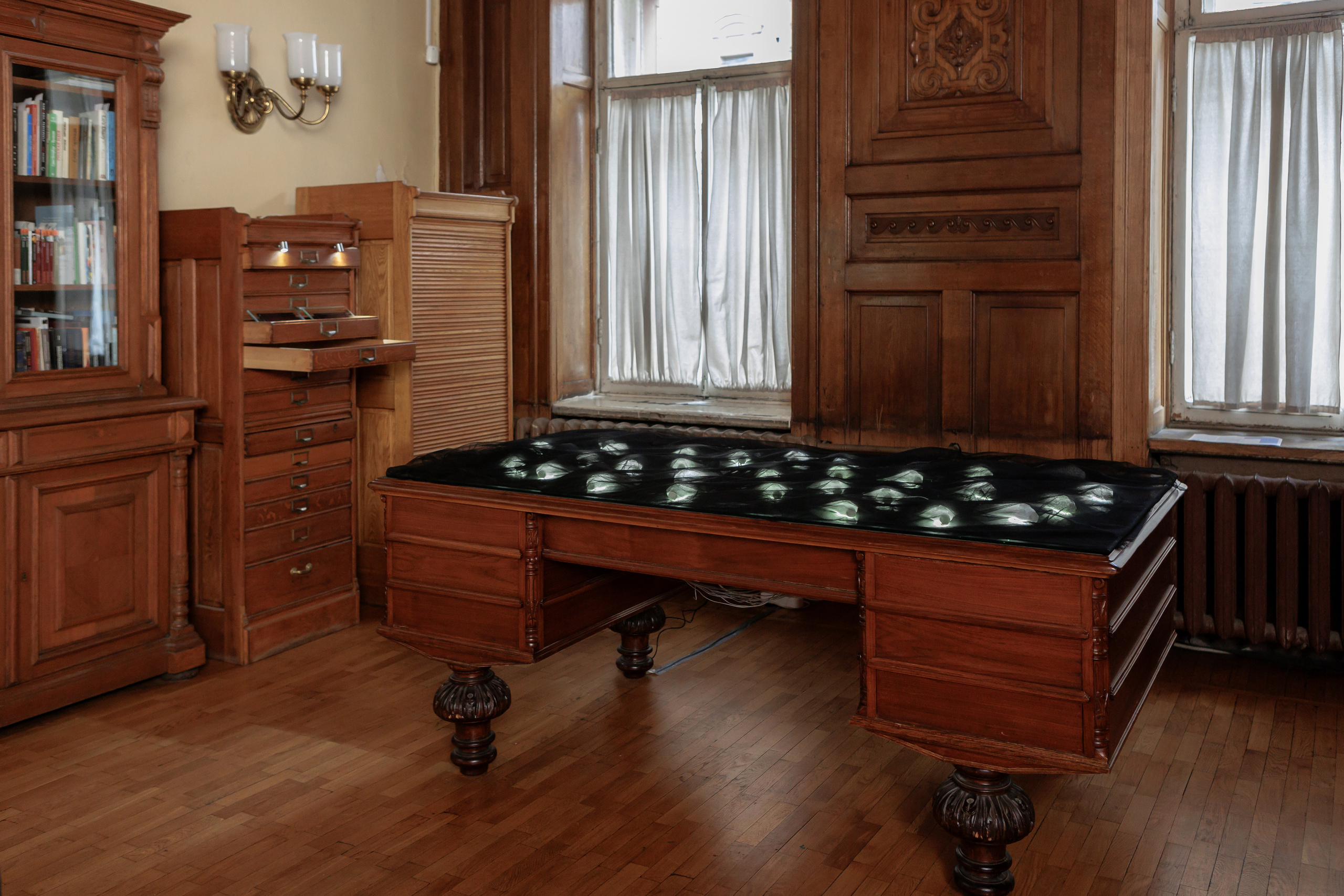 How to catch a moth?. Ilia Kronchev-Ivanov