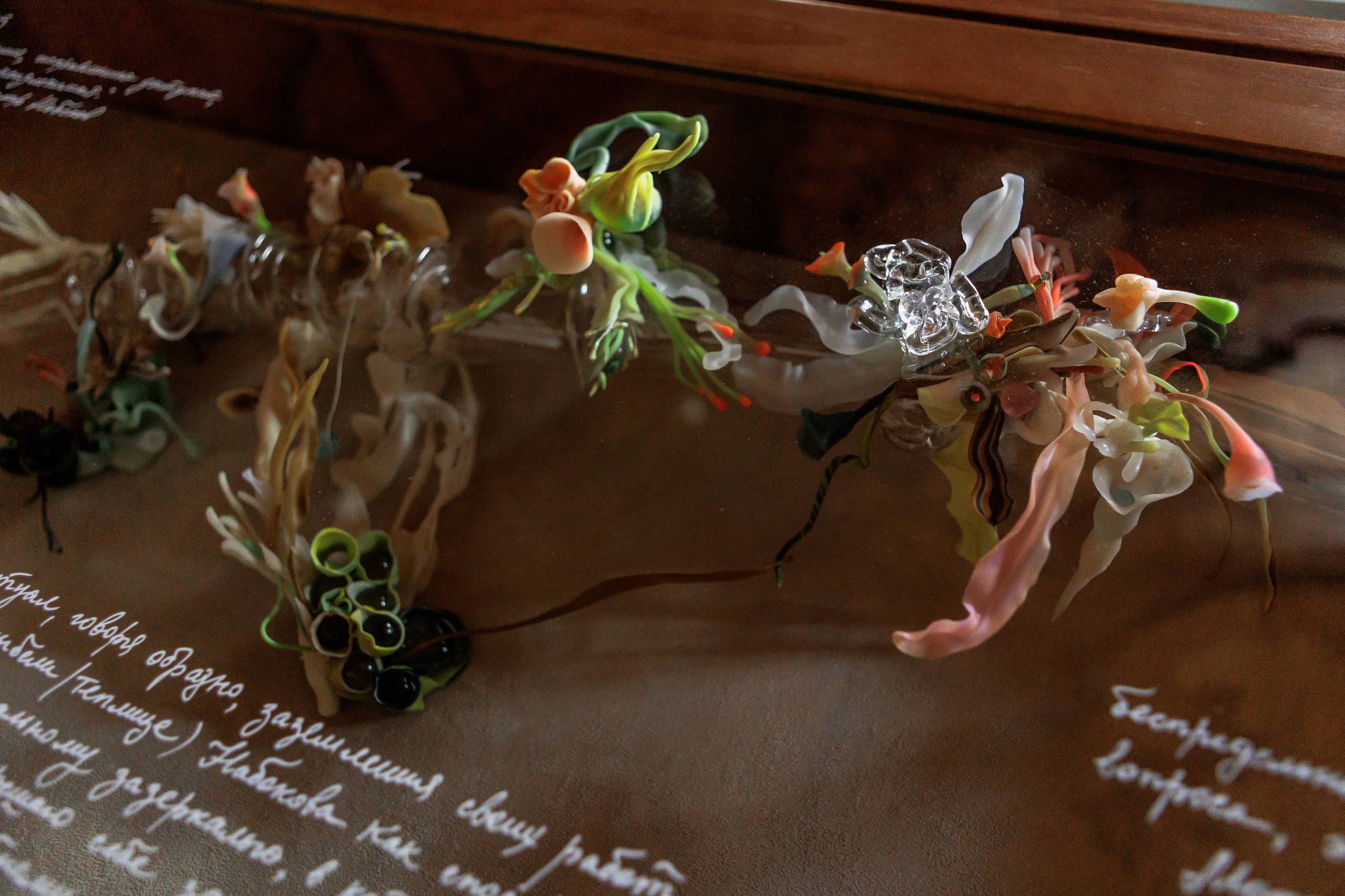 How to catch a moth?. Ilia Kronchev-Ivanov