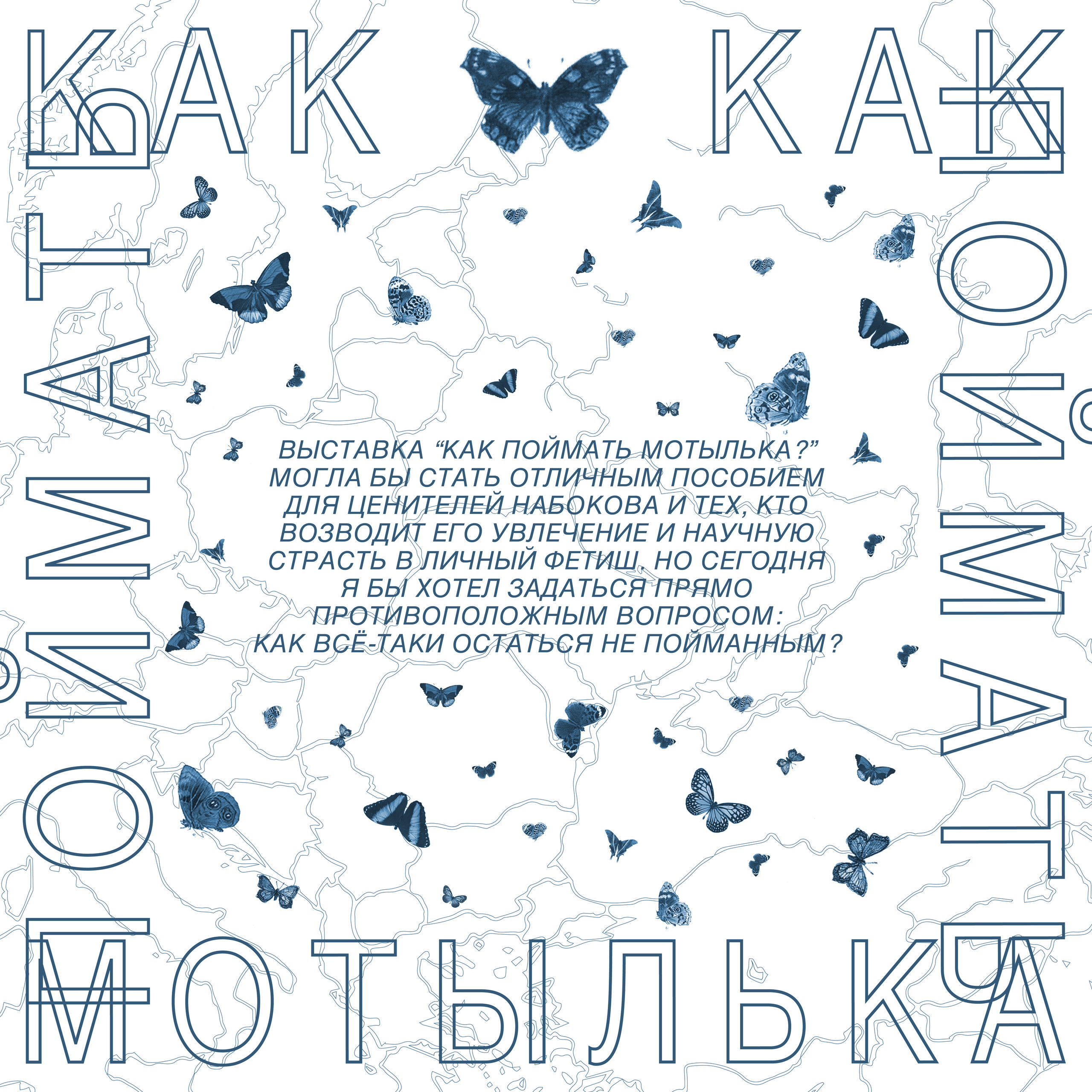 How to catch a moth?. Ilia Kronchev-Ivanov