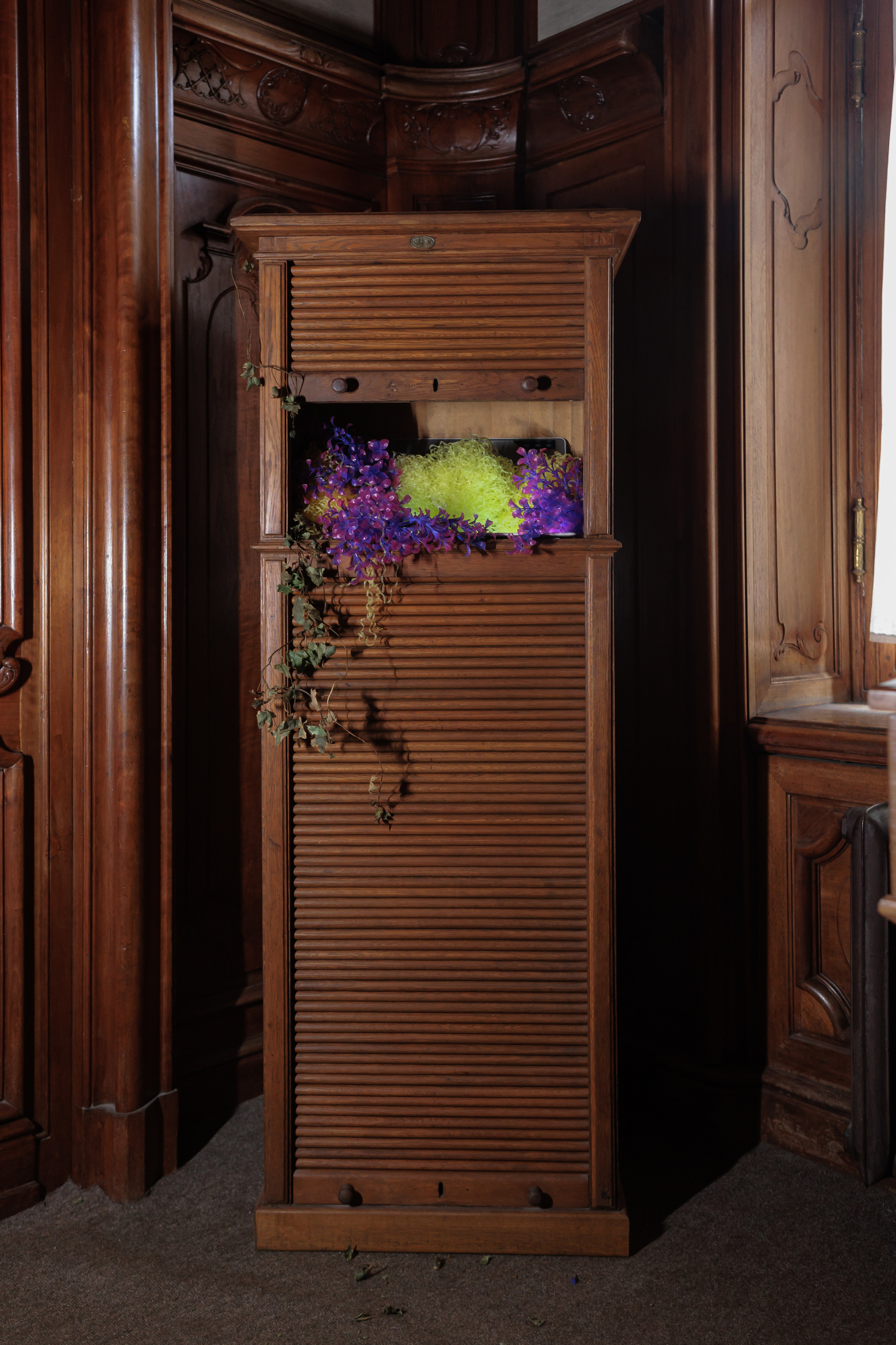 How to catch a moth?. Ilia Kronchev-Ivanov