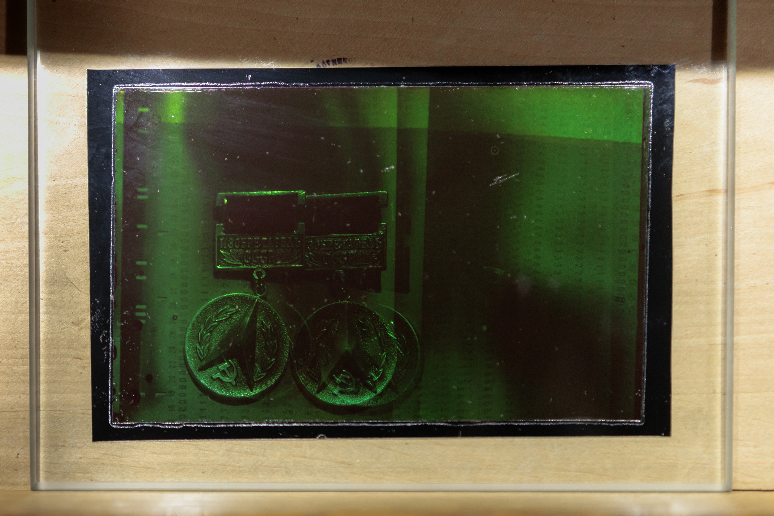 How to catch a moth?. Ilia Kronchev-Ivanov