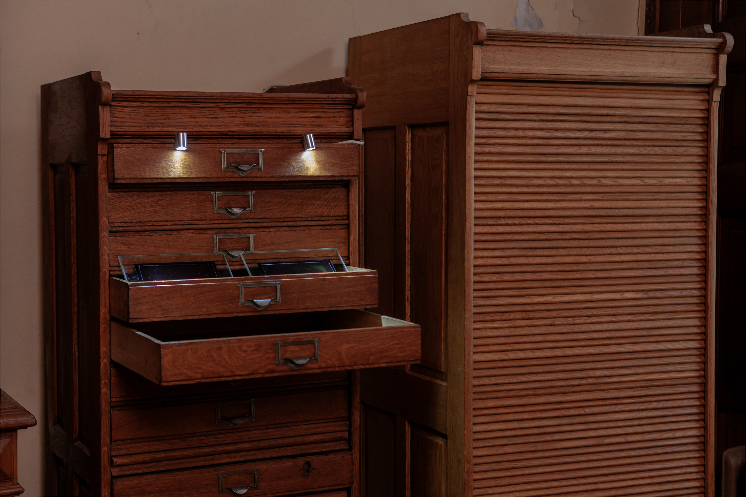 How to catch a moth?. Ilia Kronchev-Ivanov